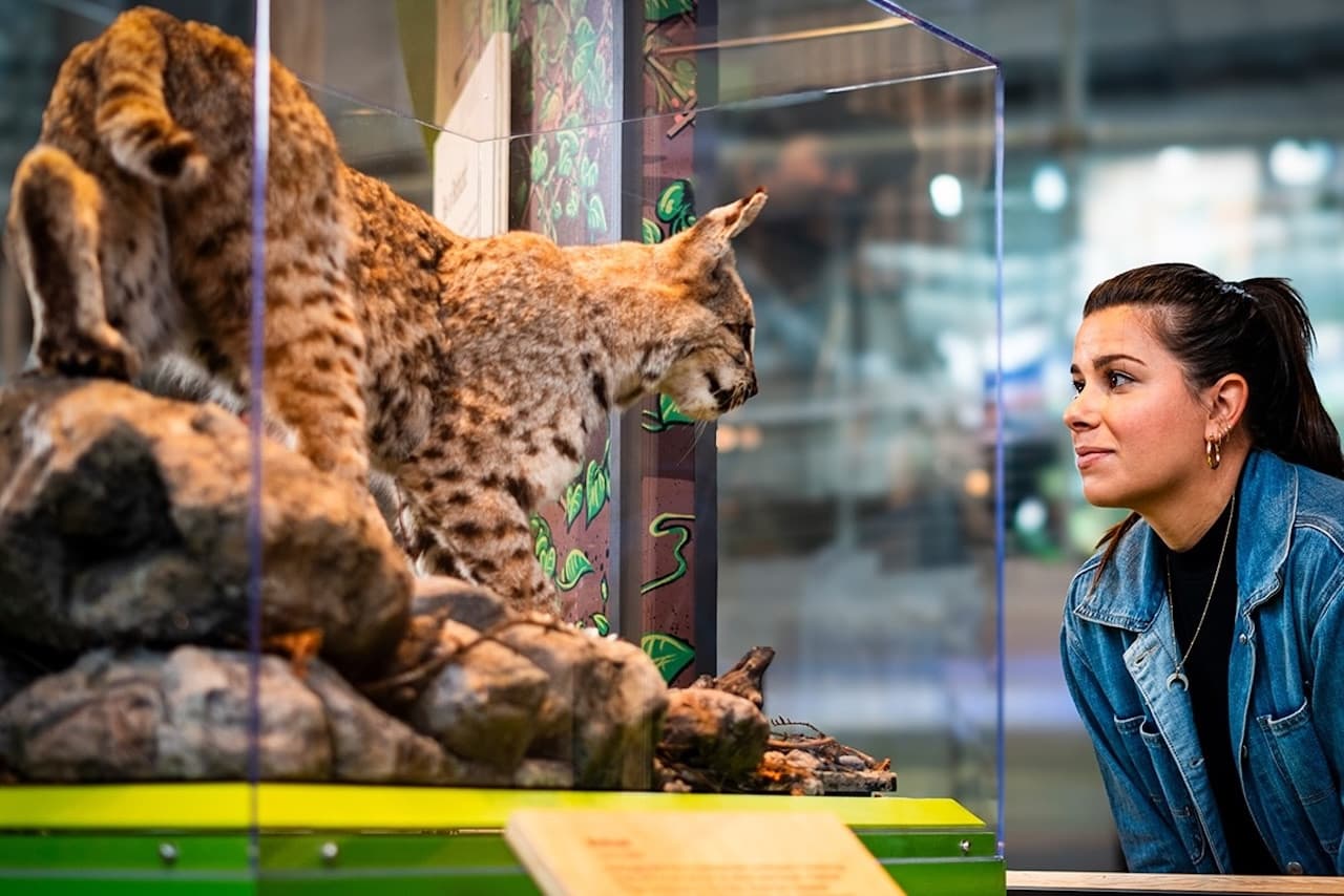 California Academy of Sciences Ticket - تصویر 13