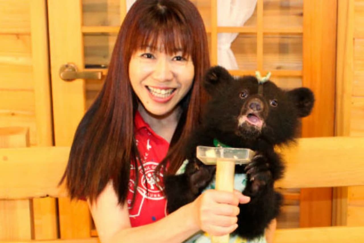 Gifu Okuhida Bears Park Ticket - تصویر 7