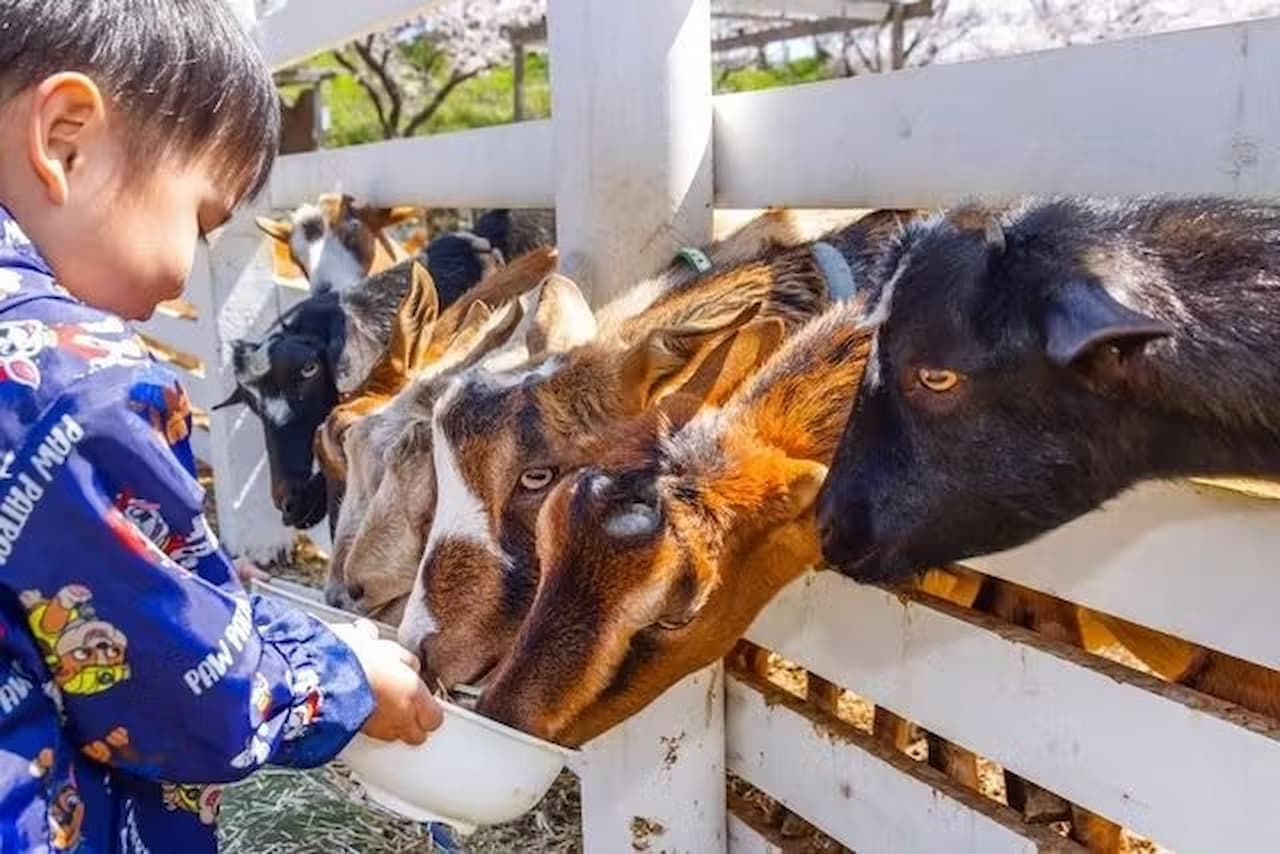 Narita Dream Farm Ticket - تصویر 12