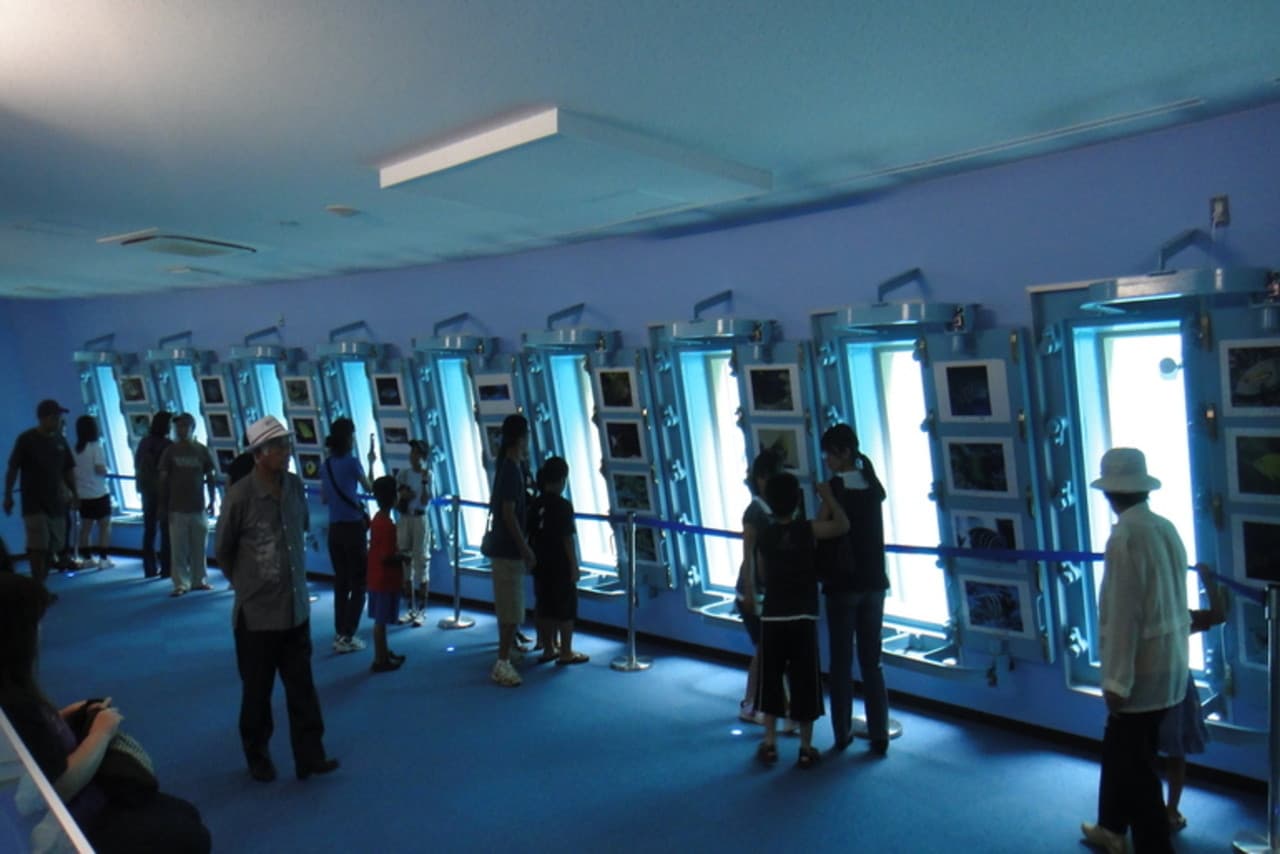 Okinawa Miyakojima Undersea Park - تصویر اصلی
