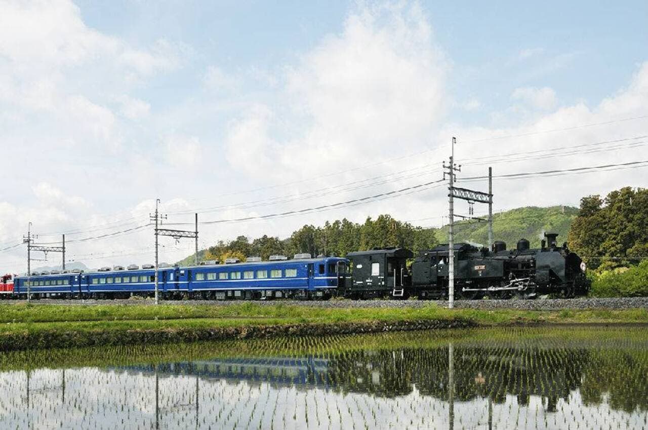 Nikko Pass All Area - تصویر 2