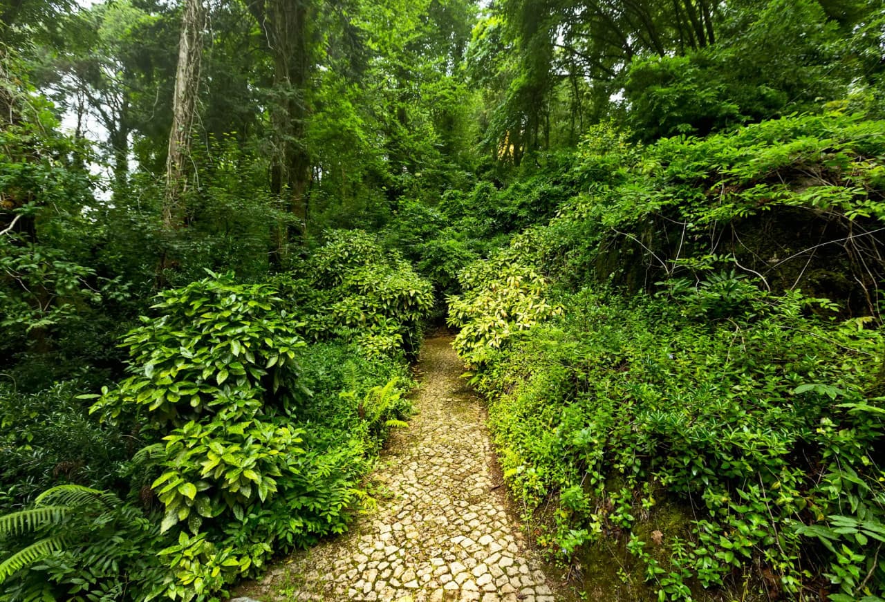 Pena Park in Sintra Ticket - تصویر 2