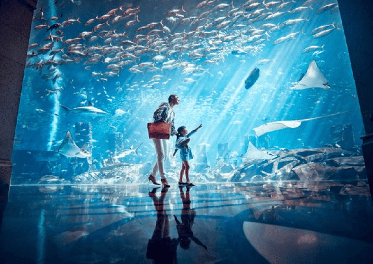 COMBO: IMG Worlds of Adventure with FREE Dubai Frame and Lost World Aquarium - تصویر 12