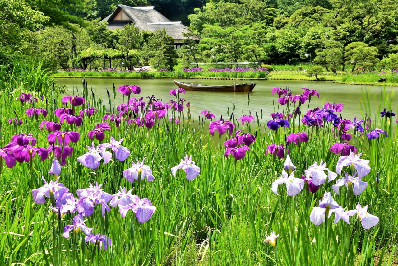 Sankeien Garden Ticket - تصویر 3