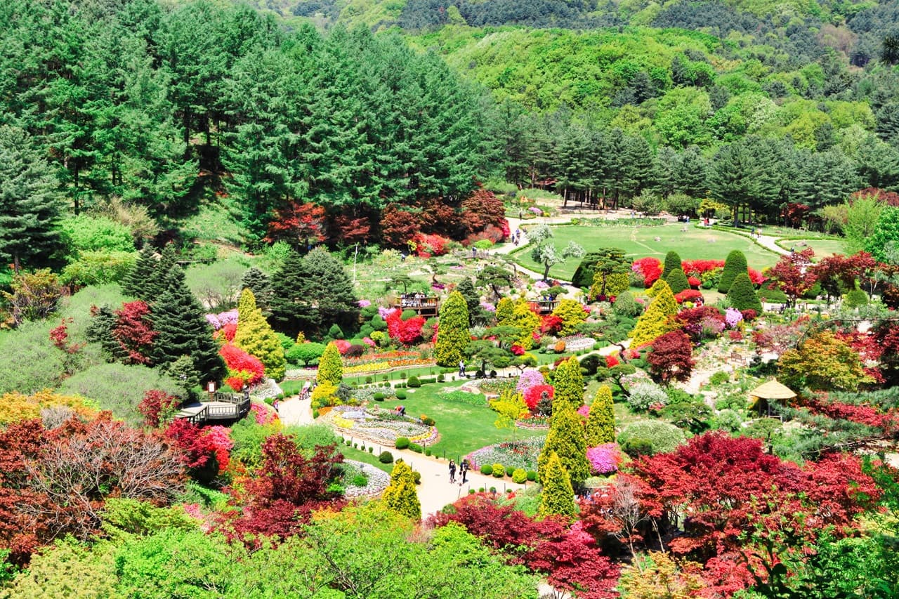 Nami Island, Mount Seorak, and Garden of Morning Calm Full-Day Tour from Seoul - تصویر 26