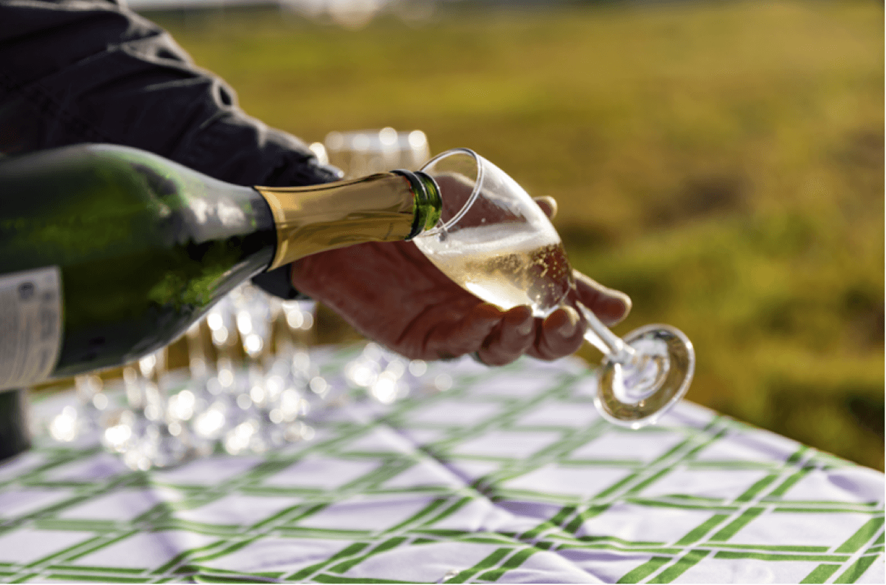 Gold Coast Hot Air Ballooning with Optional upgrade to Breakfast - تصویر 10