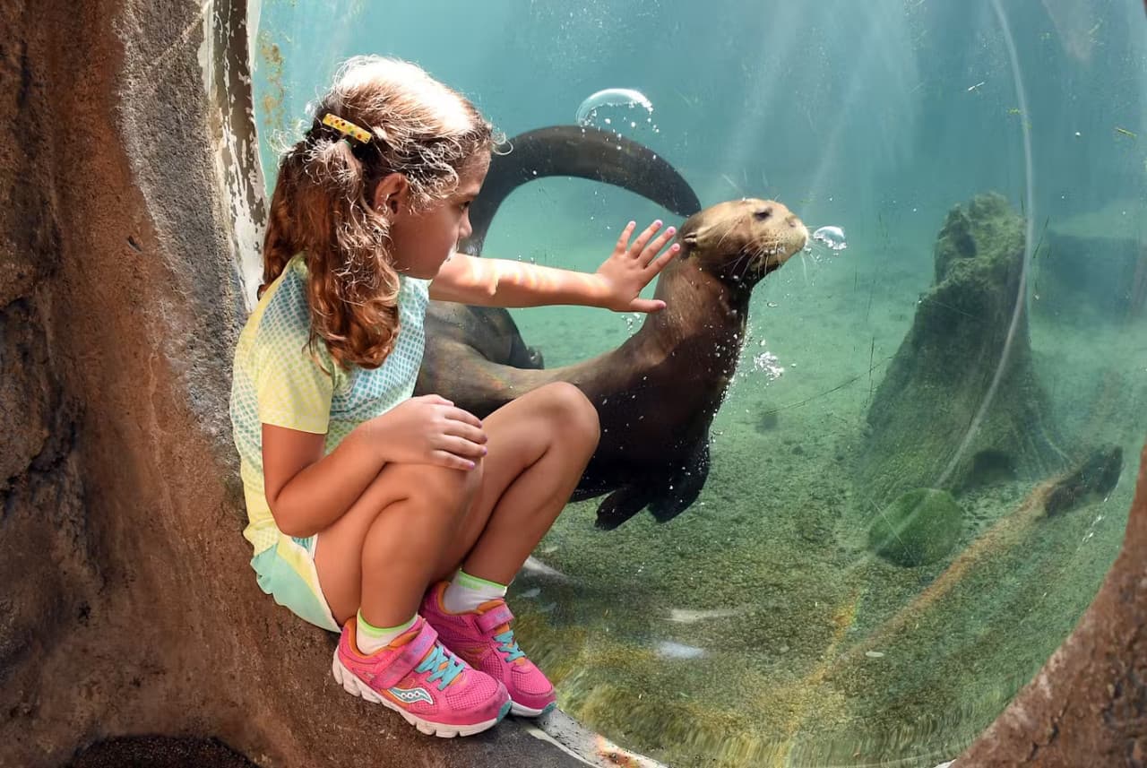 Zoo Miami Ticket - تصویر 4