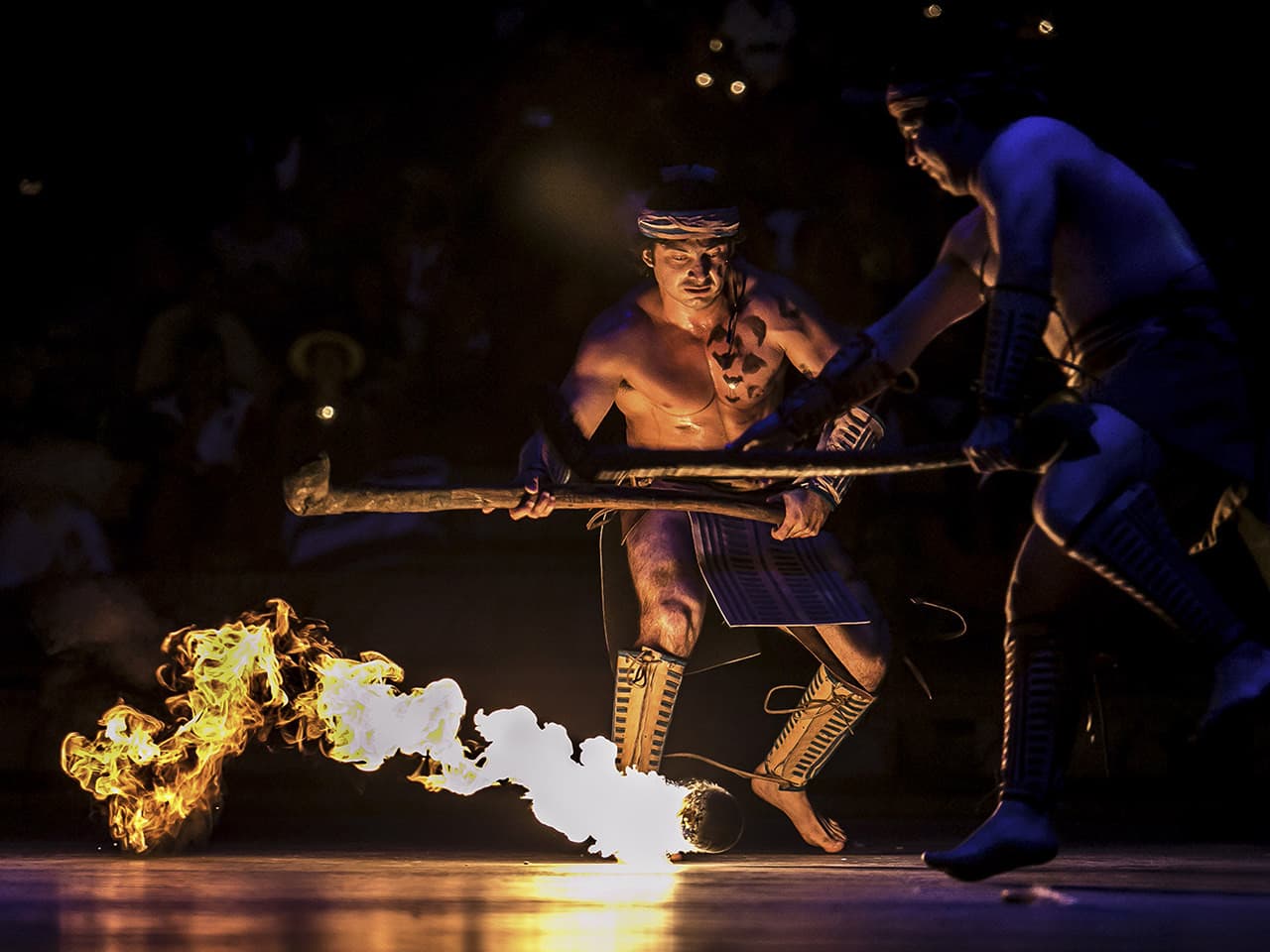 Go City Cancun All-Inclusive Pass Plus: Save up to 50% on Attractions - تصویر 11