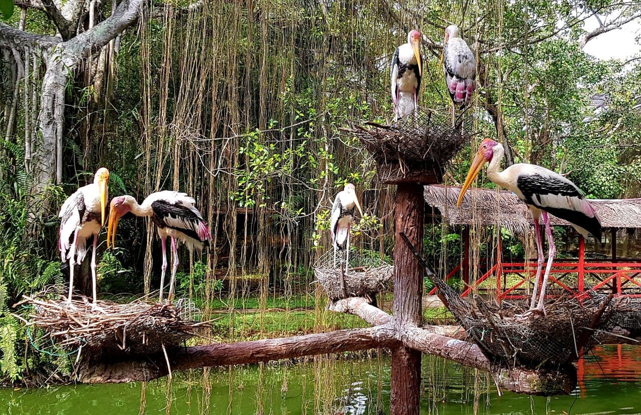 Penang Bird Park - تصویر 2