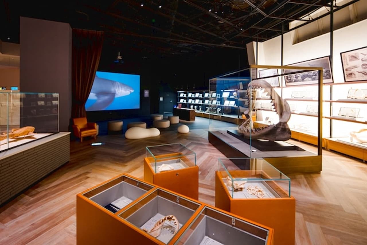 Aqua World Ibaraki Prefectural Oarai Aquarium Ticket - تصویر 9