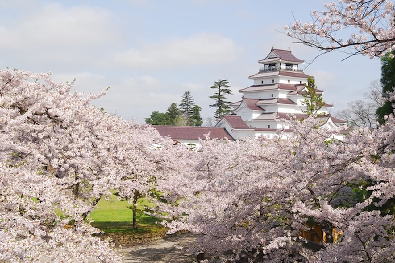 Tsurugajo Castle (Aizu-Wakamatsu Castle) Ticket - تصویر 6