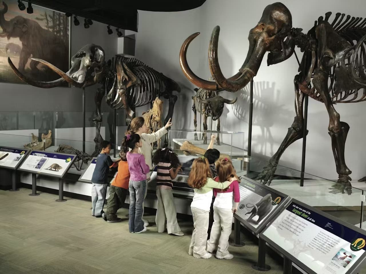 The Field Museum of Natural History Ticket - تصویر 3
