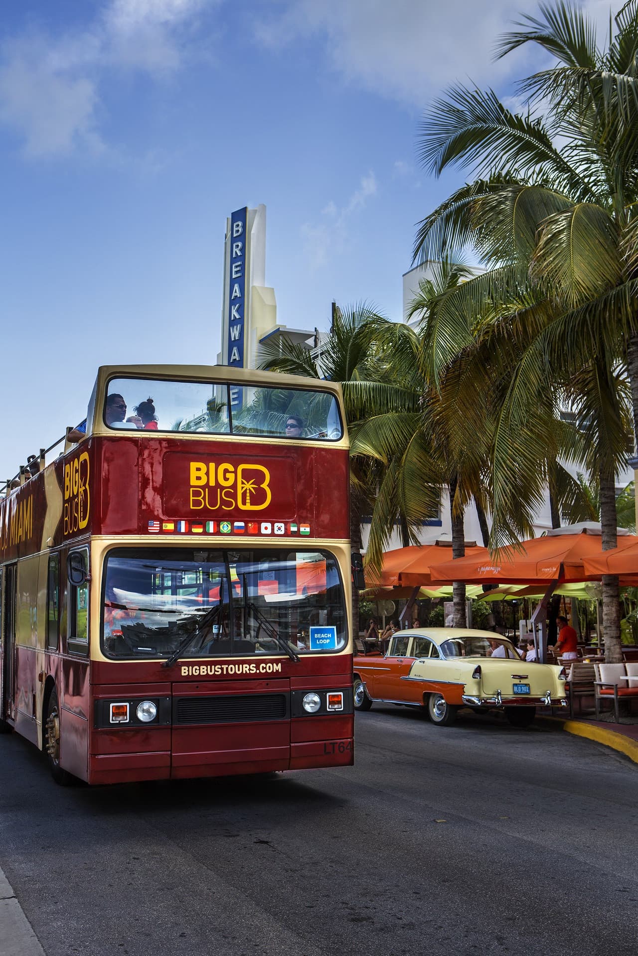 Big Bus Miami Hop-on Hop-off Bus Tour - تصویر 7