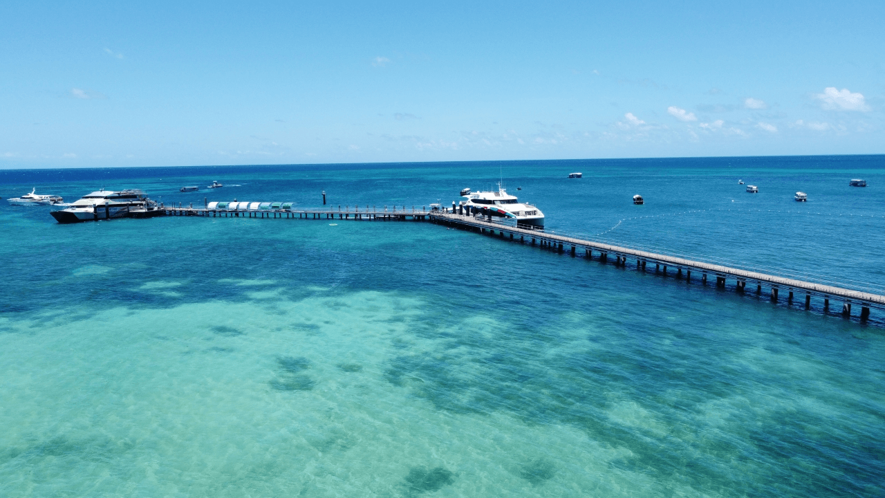 Green Island Great Barrier Reef Half Day Tour from Cairns - تصویر 8