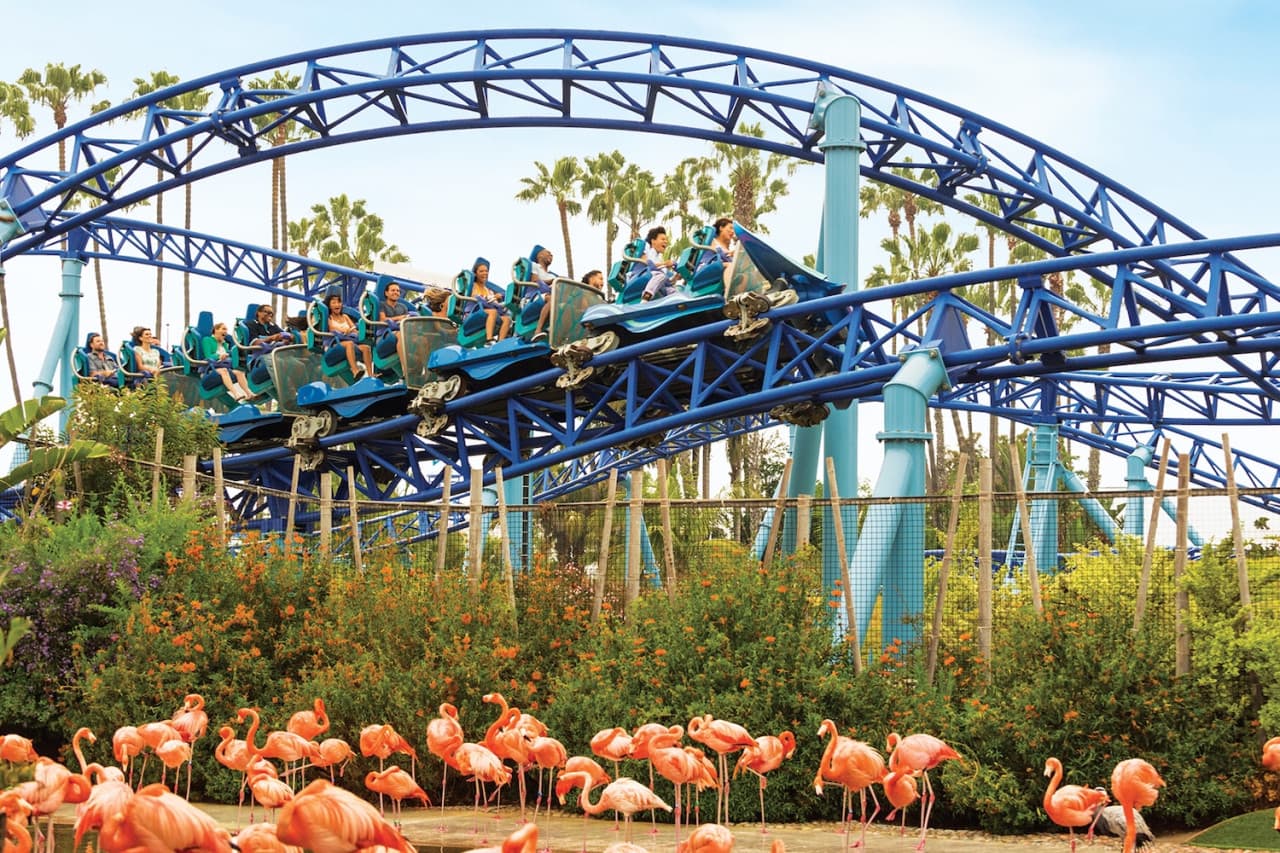 SeaWorld San Diego Ticket: Direct Entry - تصویر 4