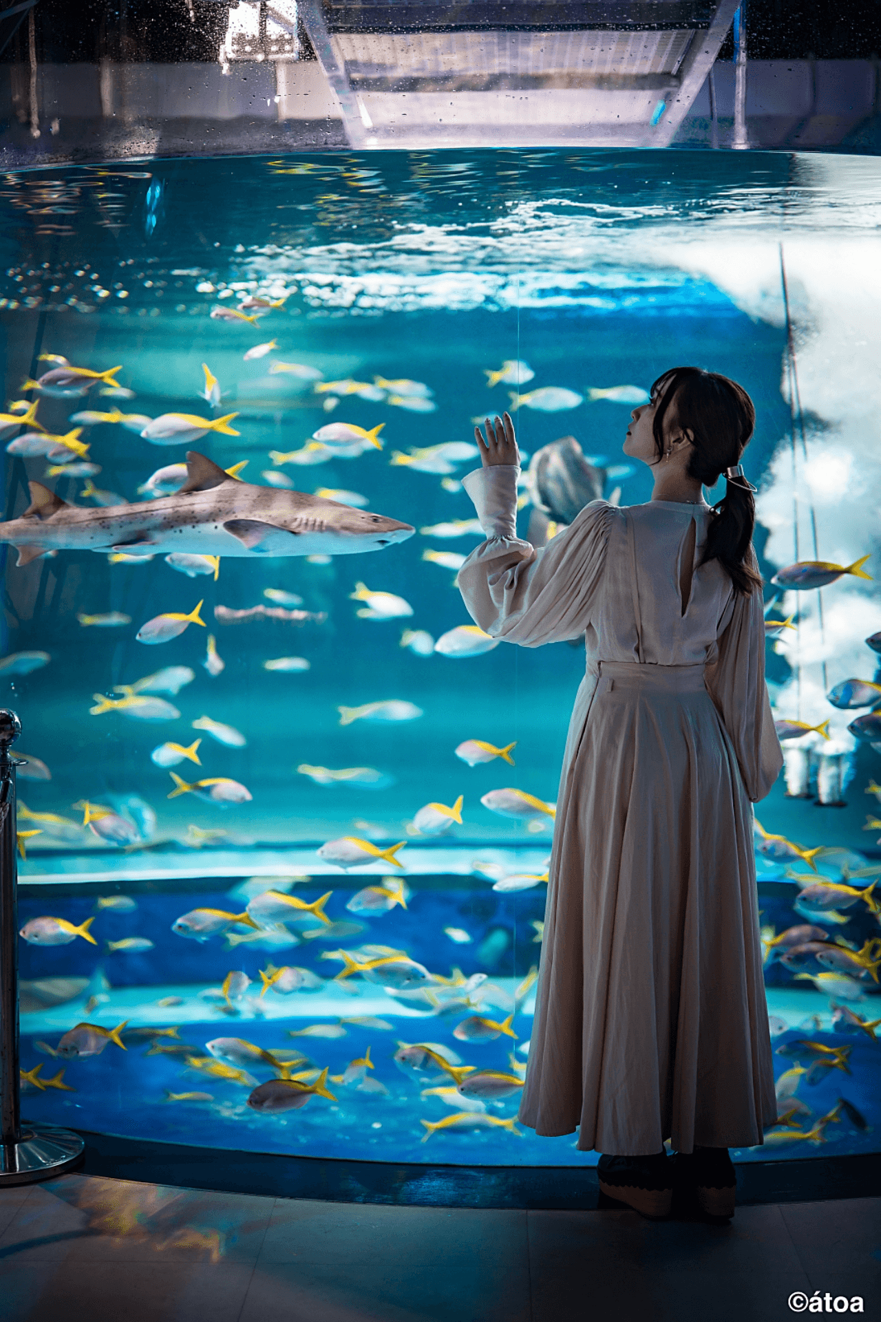 Kobe Urban AQUARIUM×ART atoa - تصویر 3