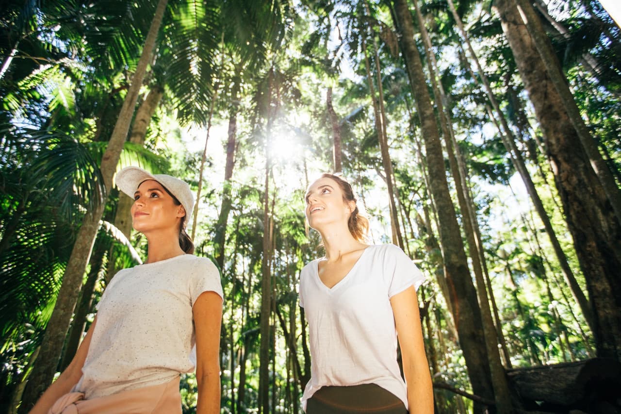 Tamborine Mountain Guided Walk and Wine Tasting Tour - تصویر 3