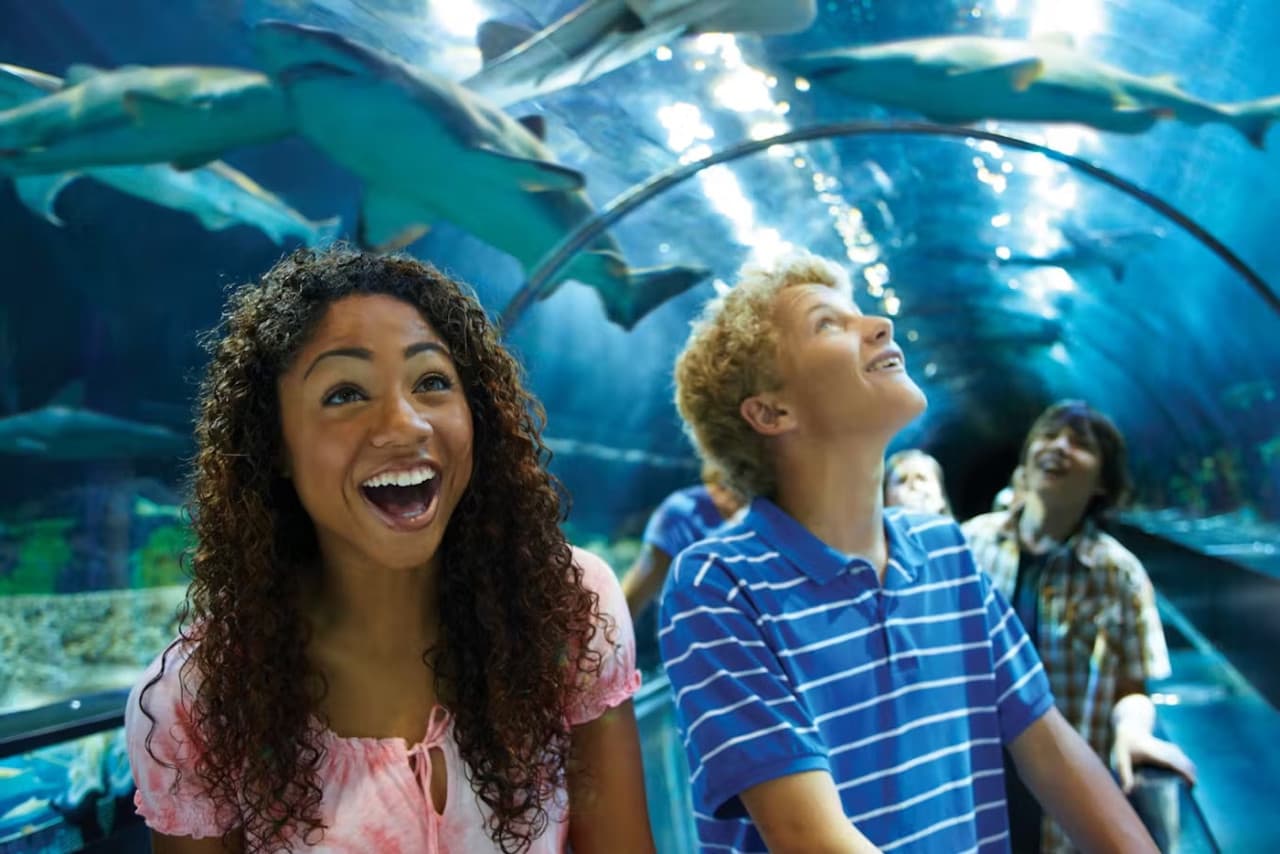 SeaWorld San Diego Ticket: Direct Entry - تصویر 17