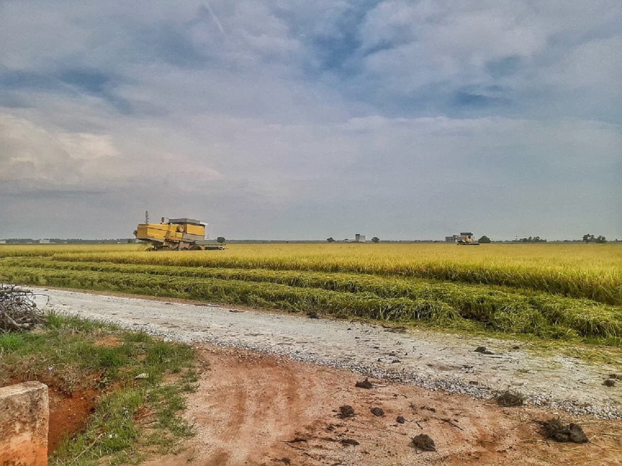 Sky Mirror and Sekinchan Paddy Field Tour from Kuala Lumpur - تصویر 6