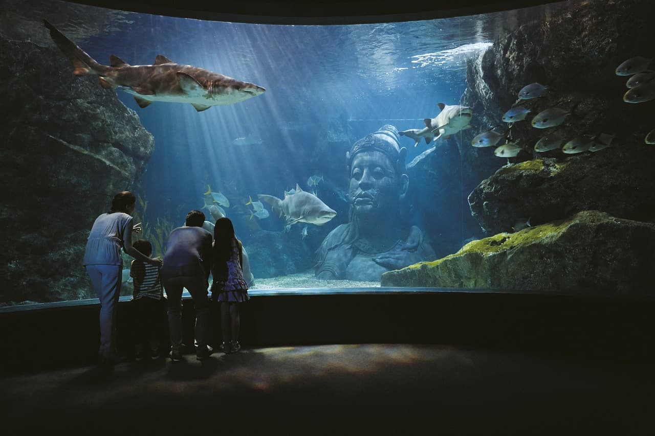 SEA LIFE Bangkok Ocean World Ticket - تصویر 2