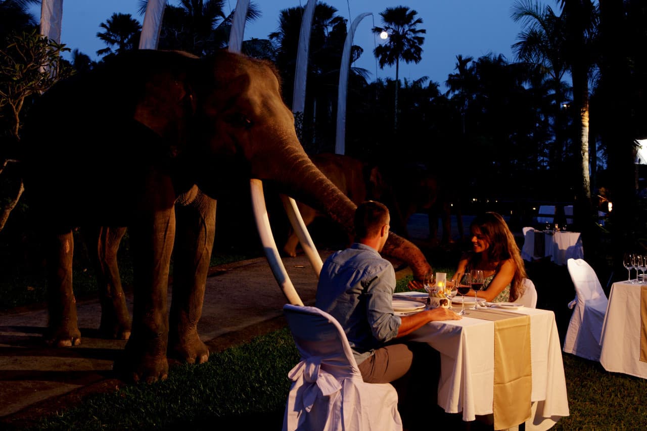 COMBO: Waterbom Bali + Mason Elephant Park Bali Tickets - تصویر 9