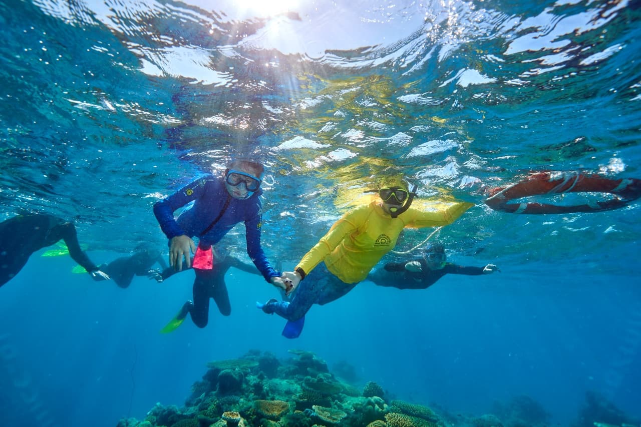 Green Island Great Barrier Reef Half Day Tour from Cairns - تصویر 6