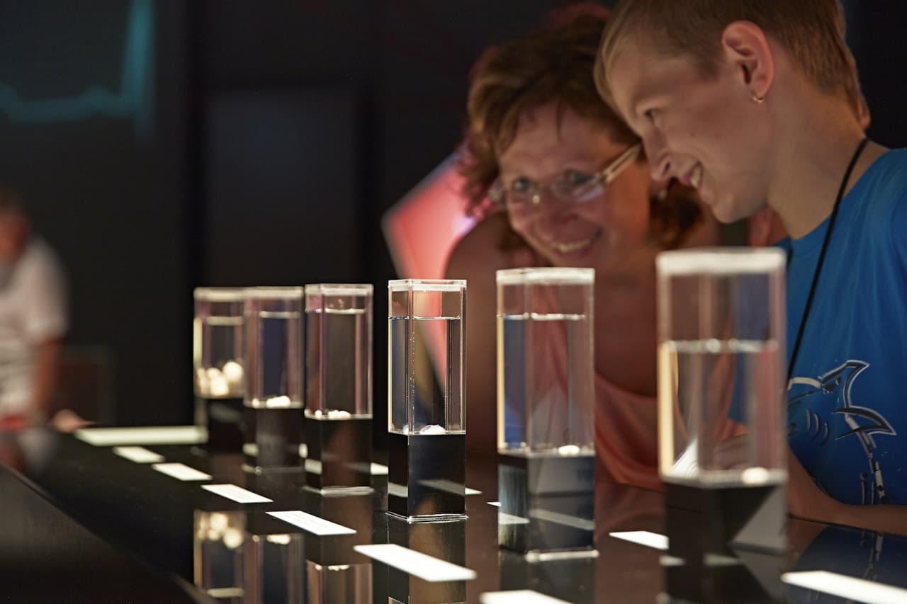 BODY WORLDS Berlin - تصویر 4