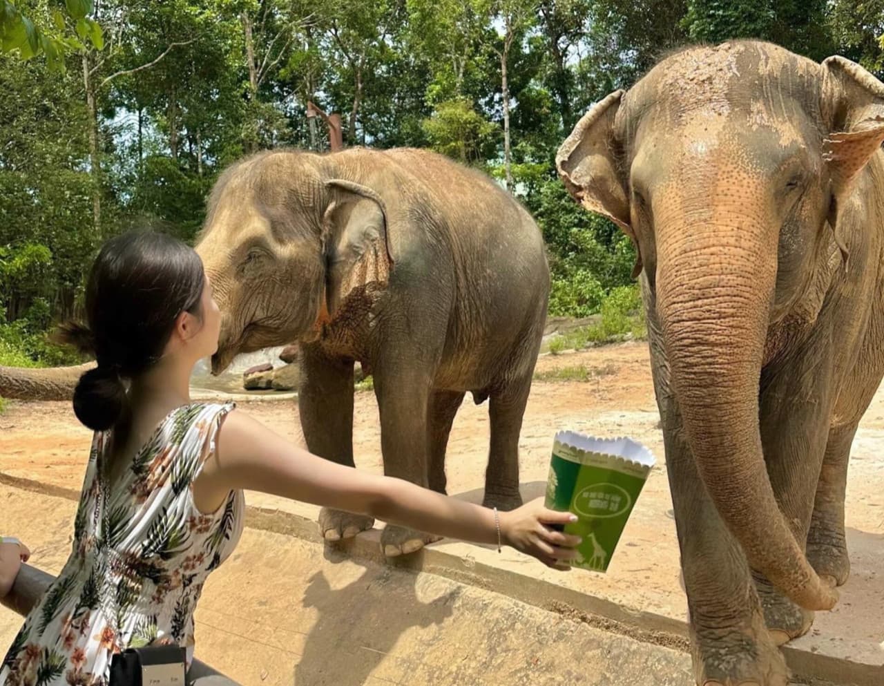 Vinpearl Safari Phu Quoc Ticket - تصویر 13