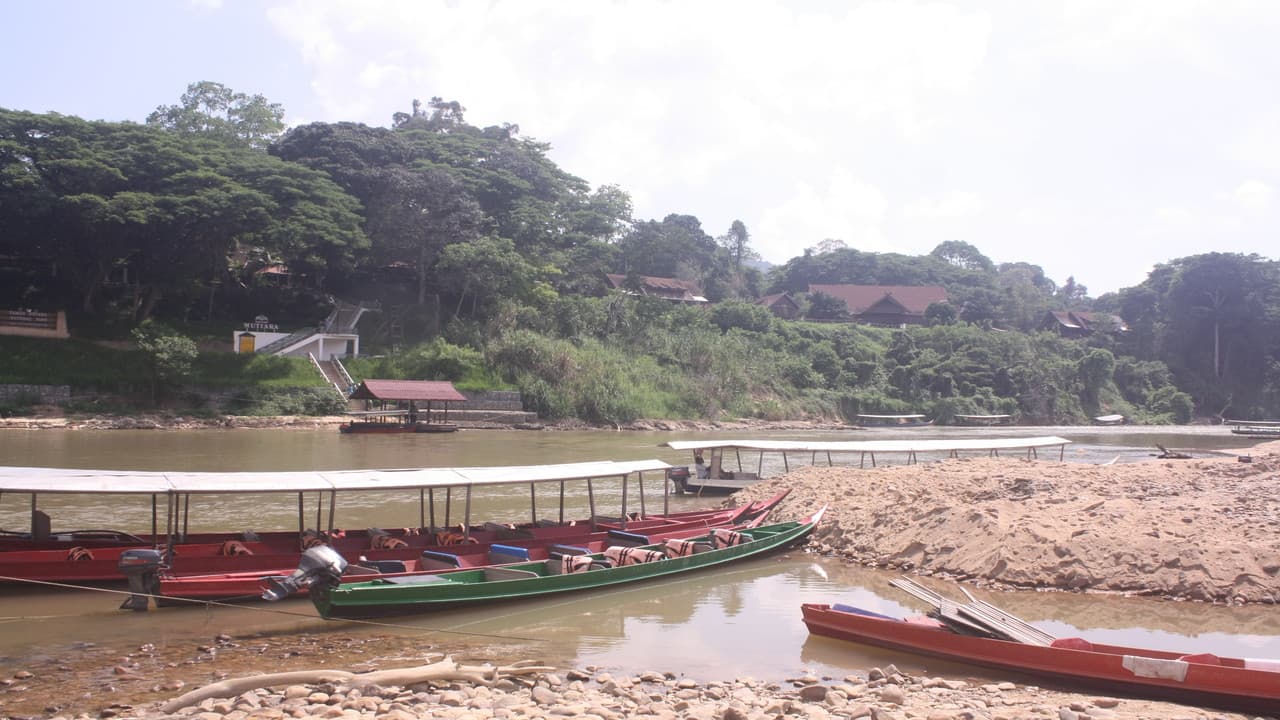 Taman Negara National Park Tour from Kuala Lumpur - تصویر 9