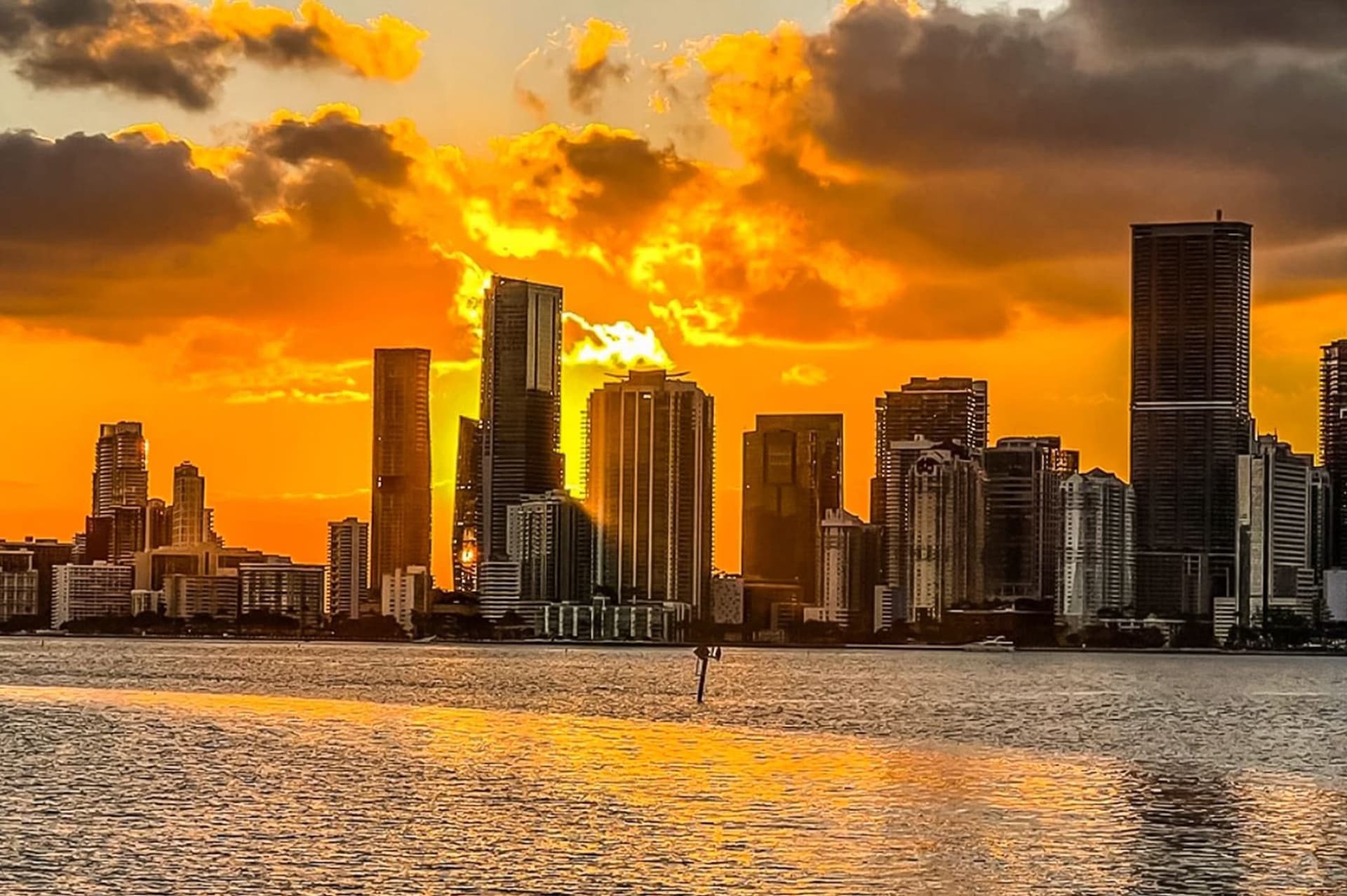 Miami City Half-Day Bus Tour with Optional Cruise - تصویر 10