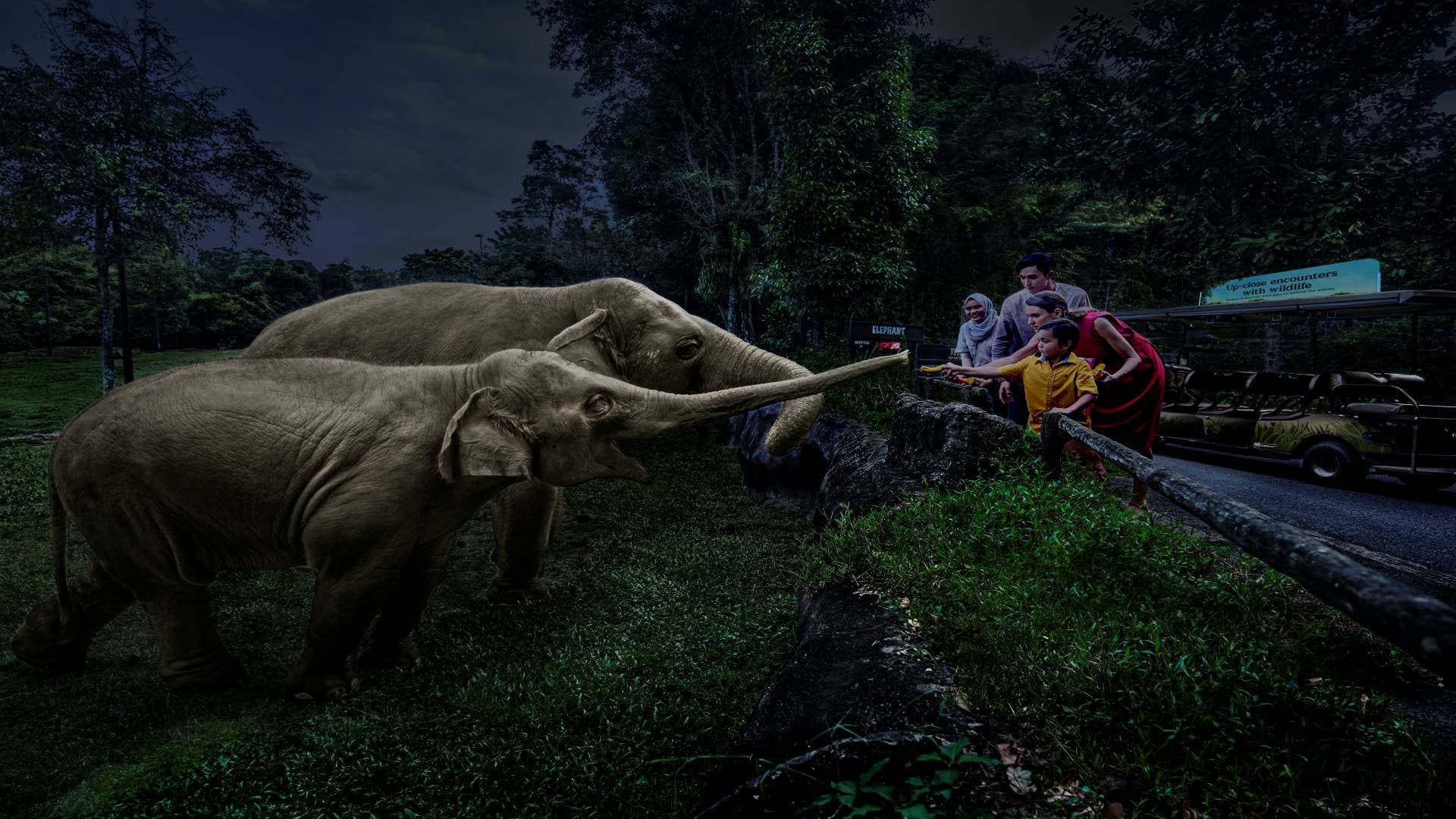 Singapore Night Safari Ticket - تصویر 6