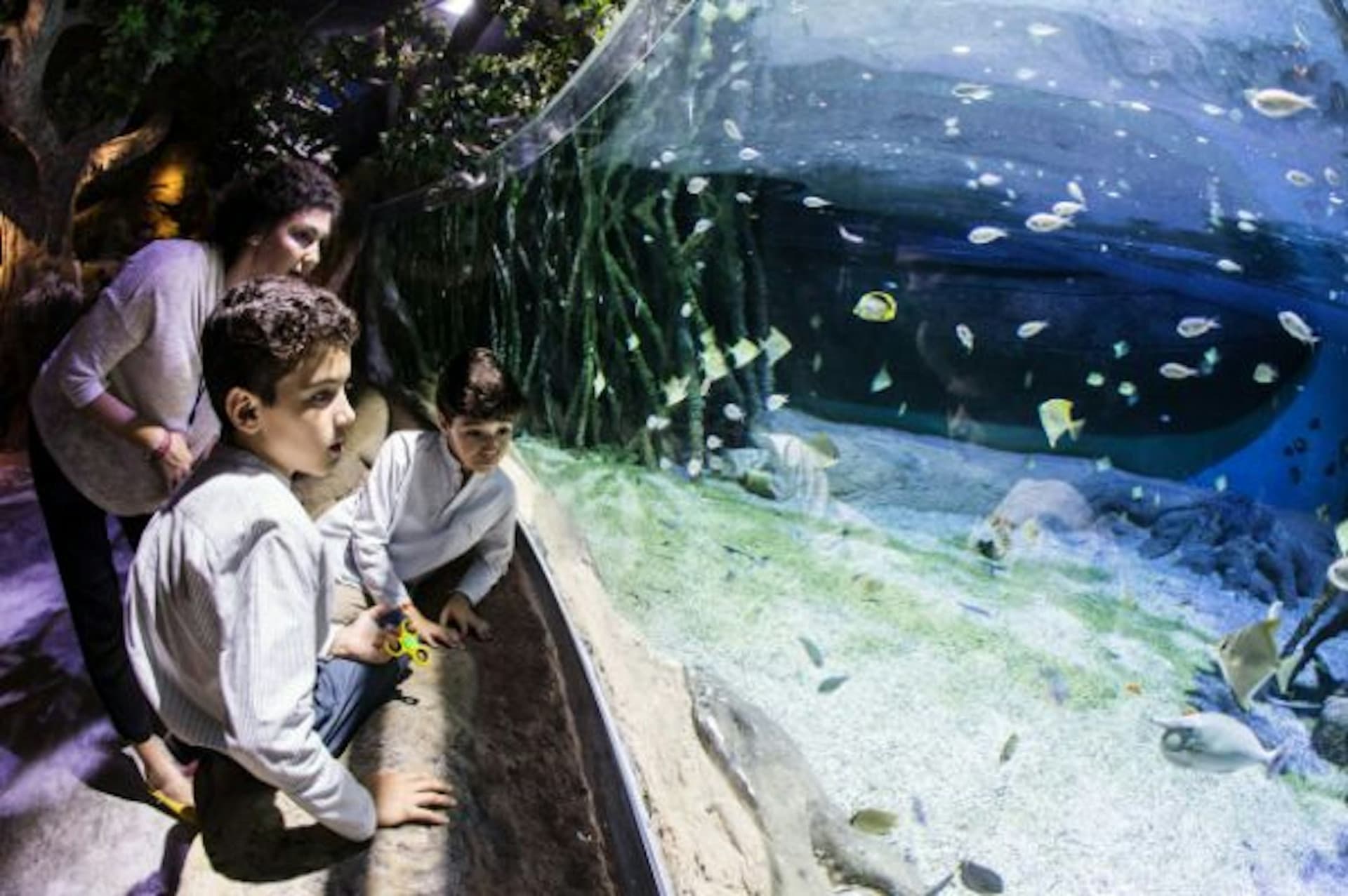 Seville Aquarium Ticket - تصویر 14