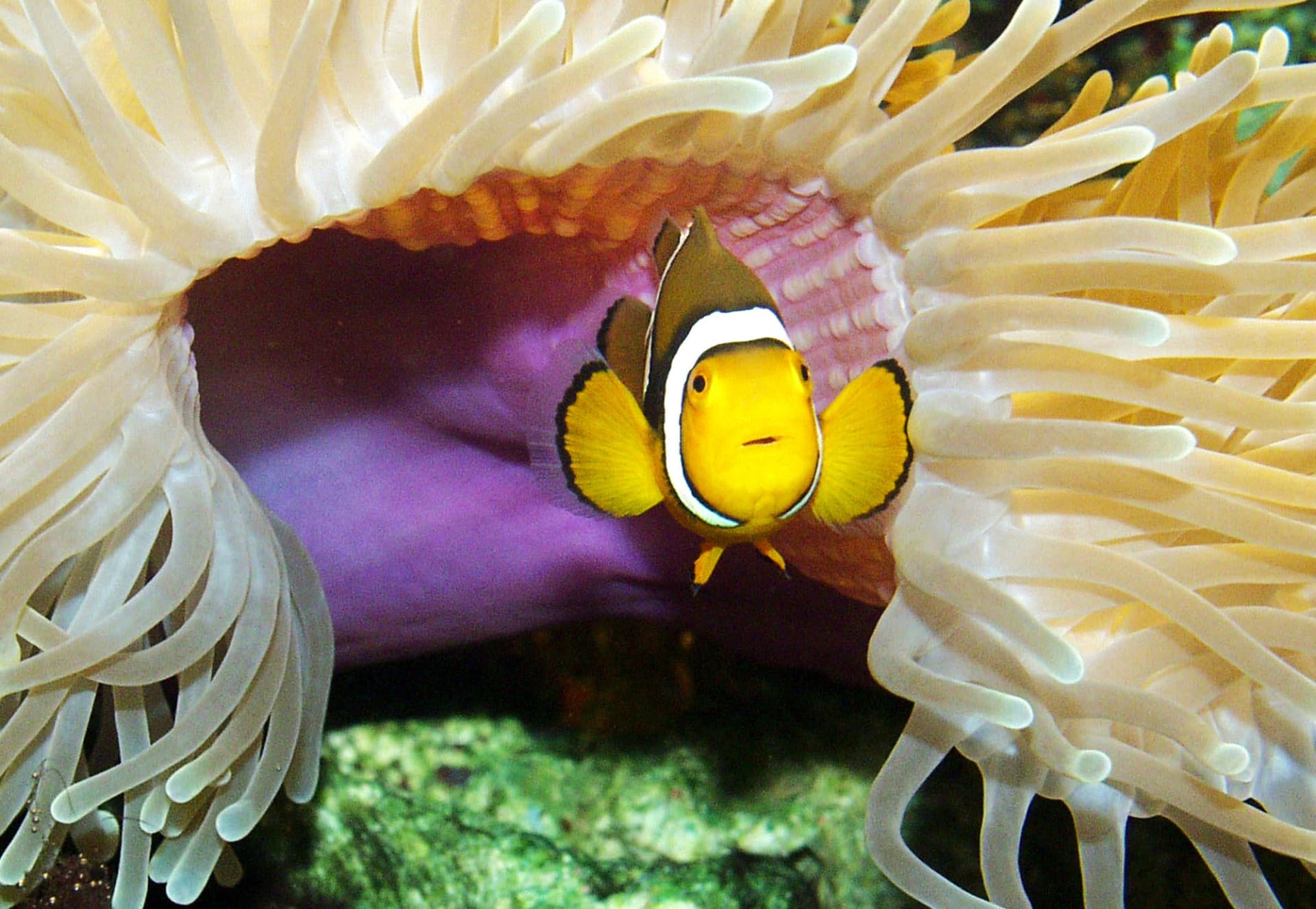 SEA LIFE Timmendorfer Strand Aquarium Ticket - تصویر 12