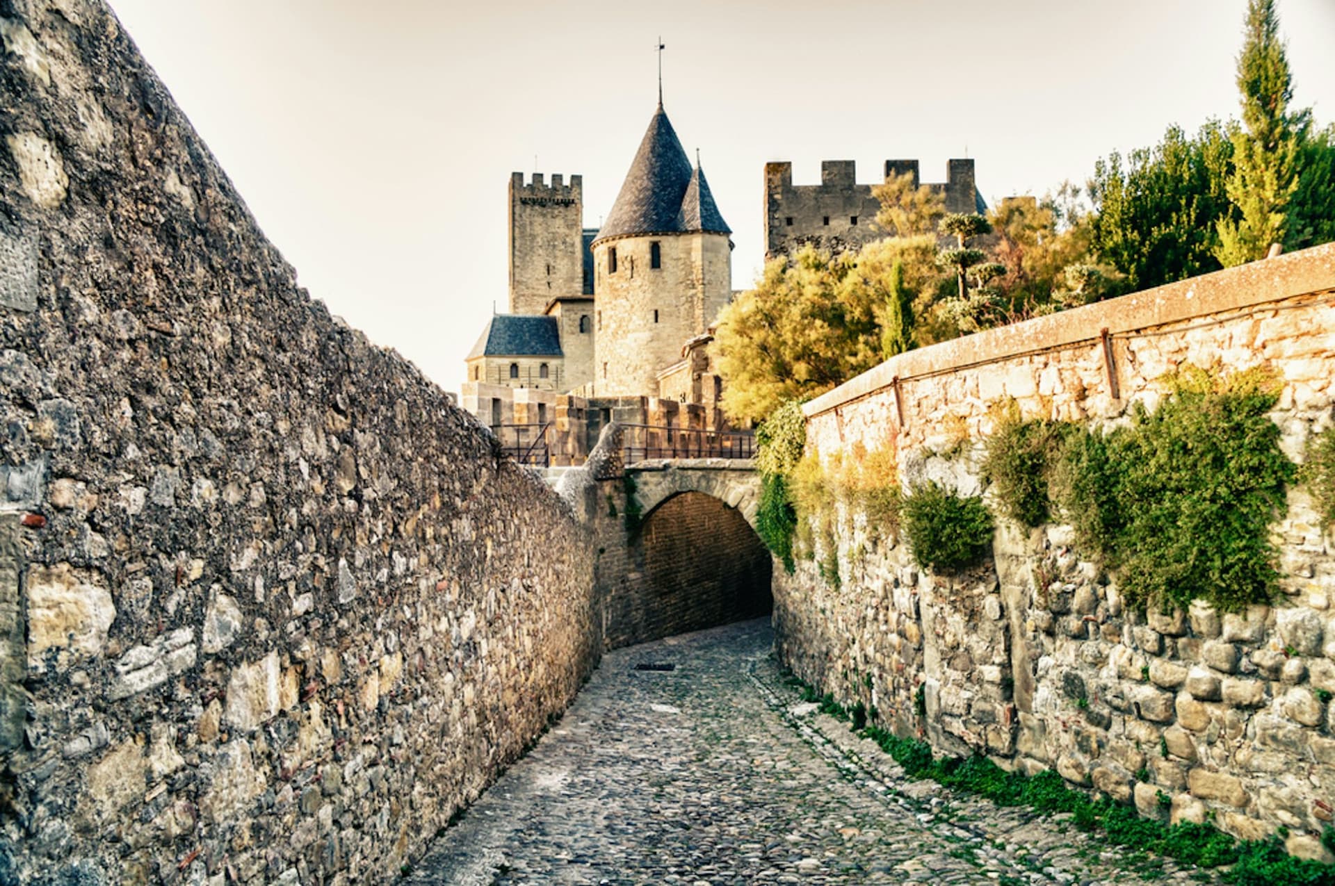 Cite de Carcassonne: Castle + Ramparts + Museum - تصویر اصلی