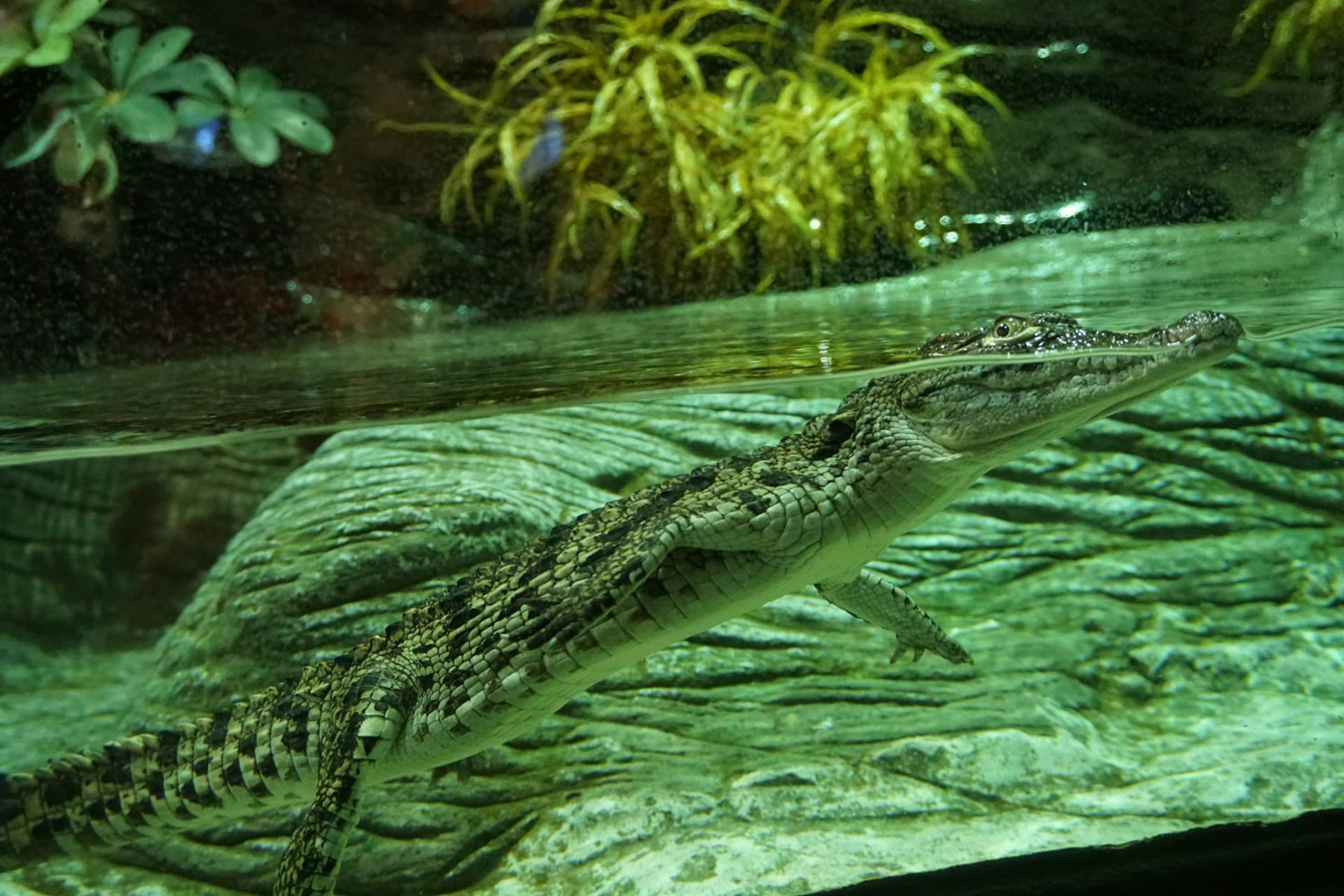 Seville Aquarium Ticket - تصویر 8