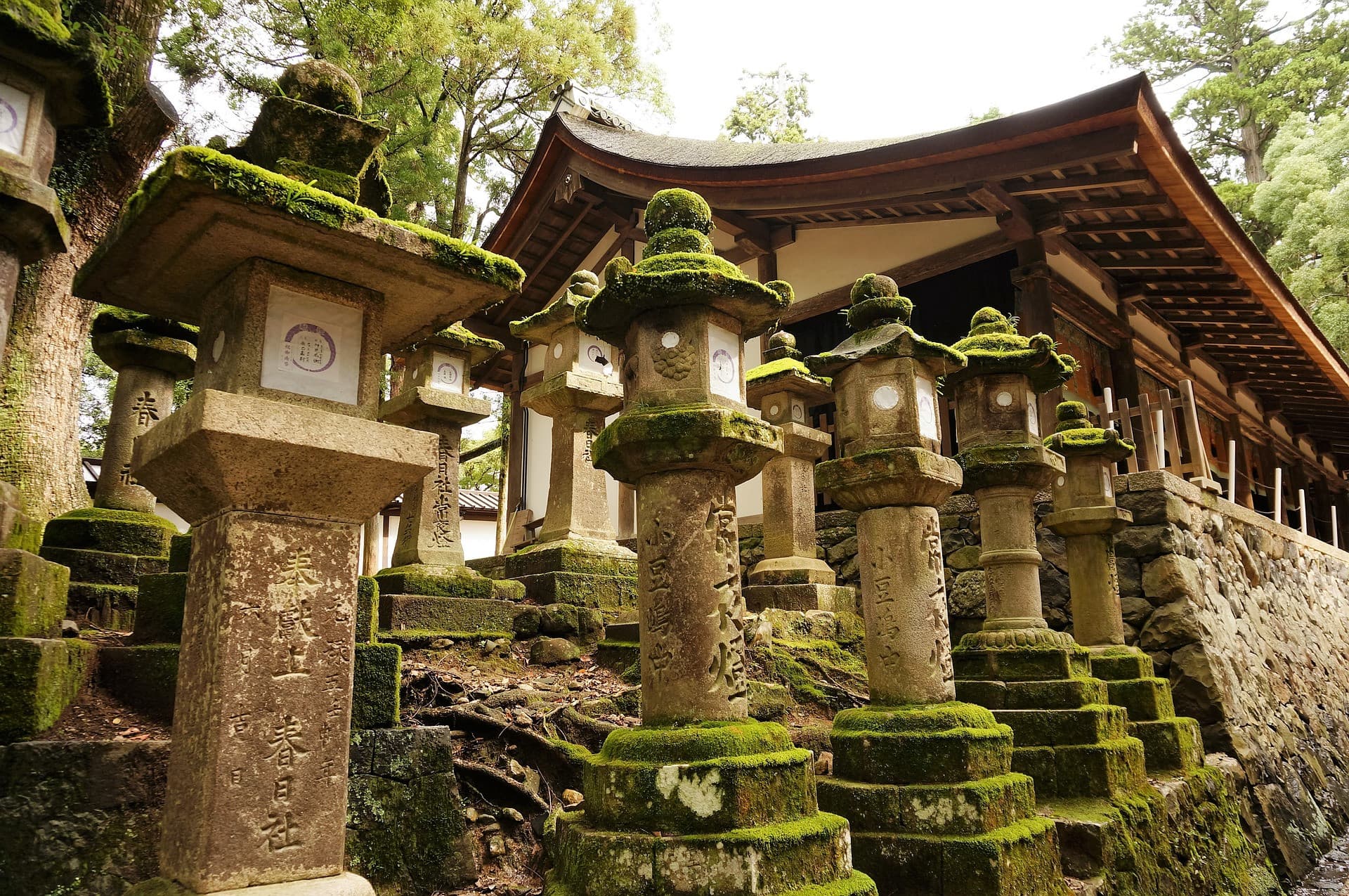 Nara Tour from Kyoto - تصویر 4