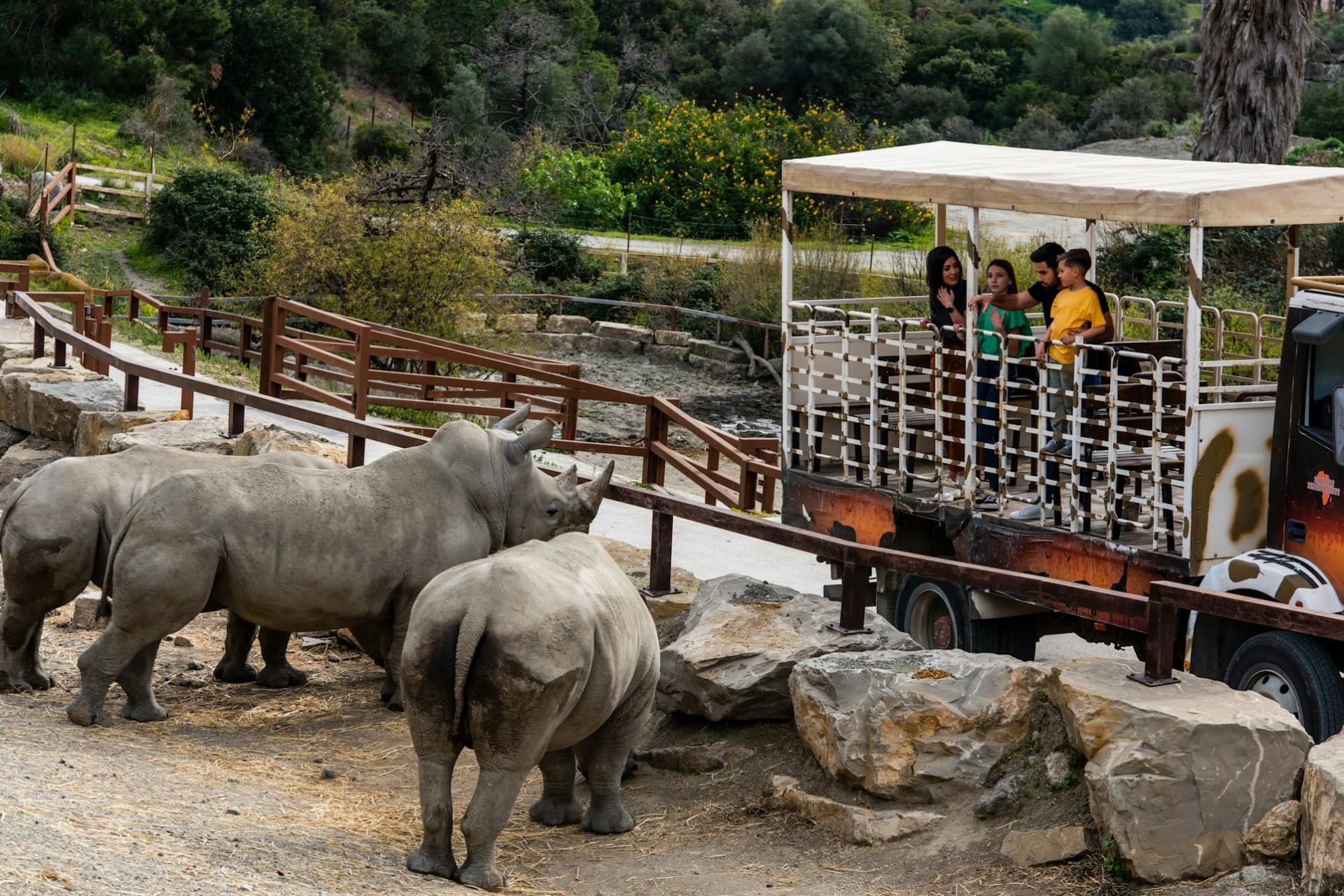 Selwo Aventura Estepona Ticket - تصویر 12