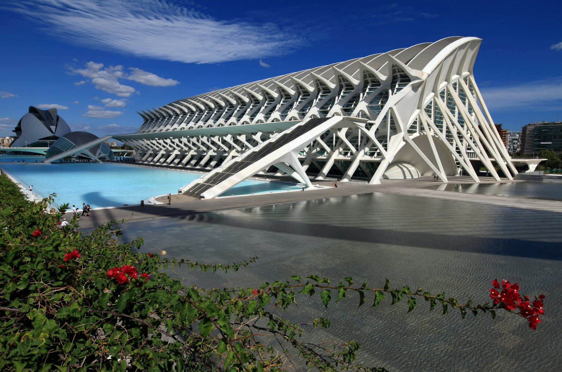 Science Museum Valencia Ticket - تصویر 4