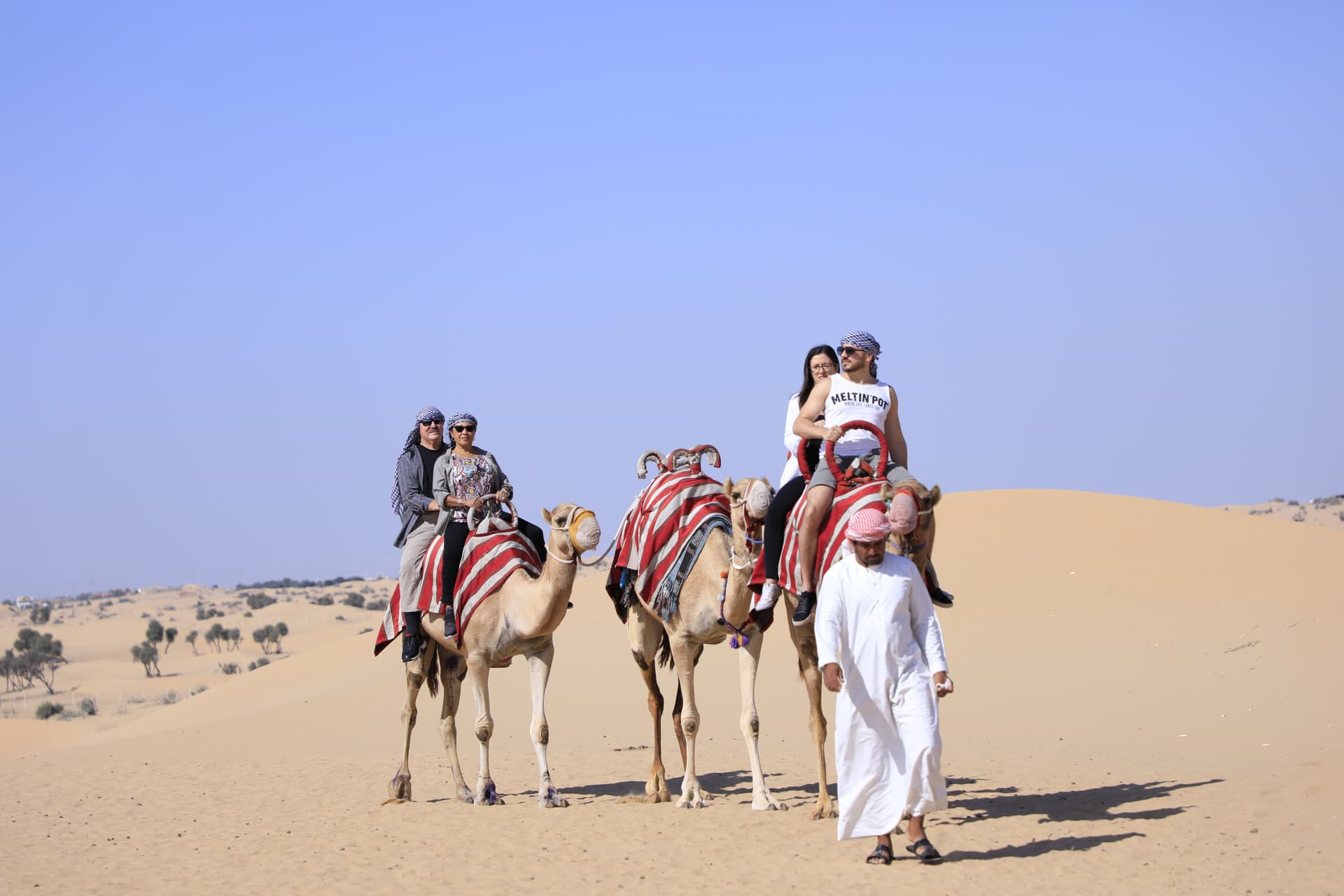 Half-Day Desert Safari, Camel Ride with Refreshments - تصویر 4