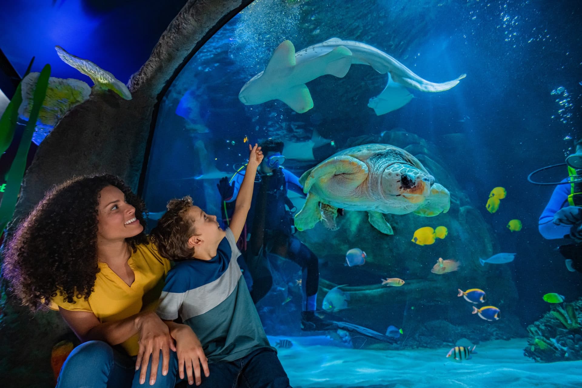 پکیج: The Merlin Florida Ticket — ورود به 7 جاذبه خانوادگی - تصویر 15