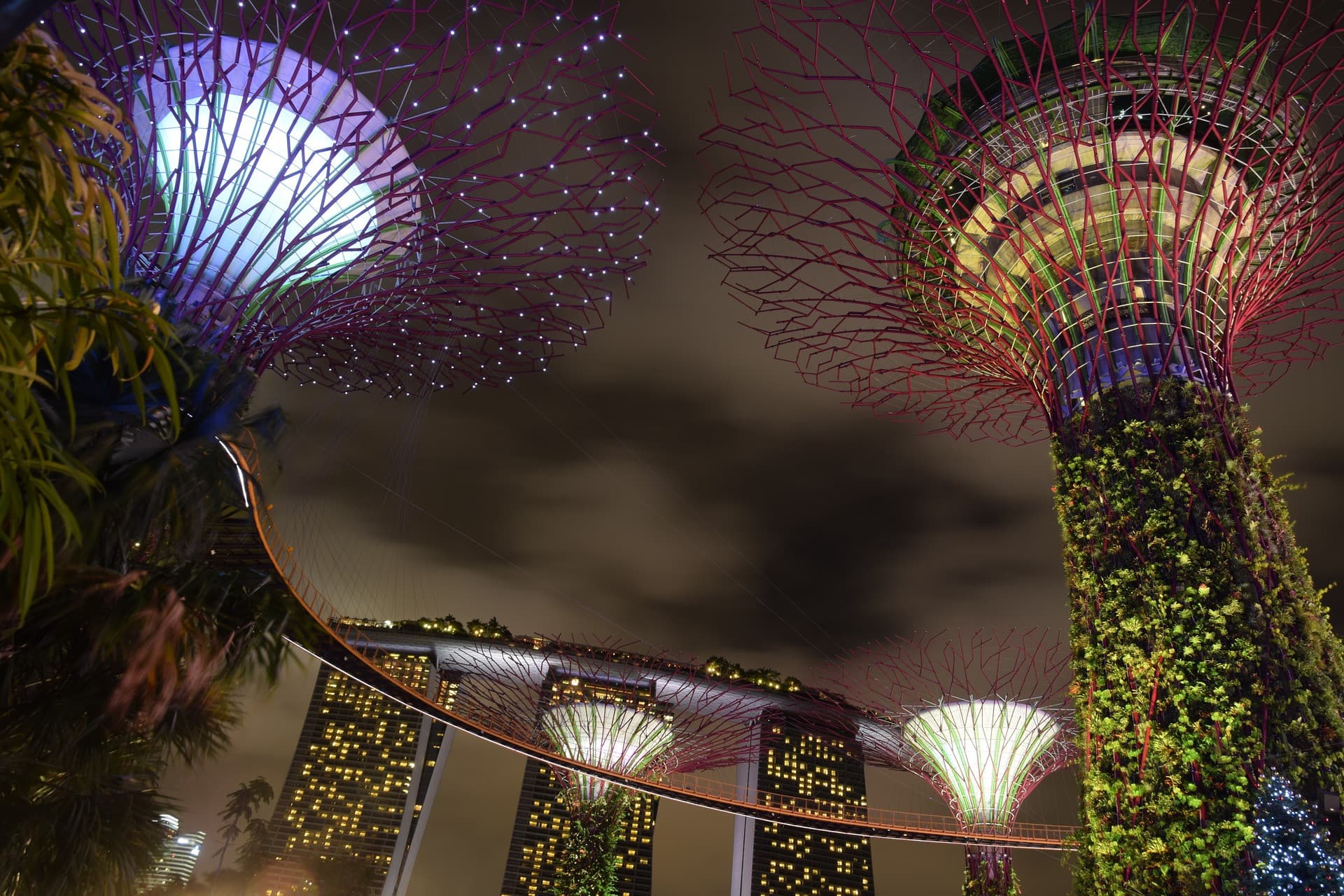Gardens by the Bay Ticket - تصویر 20