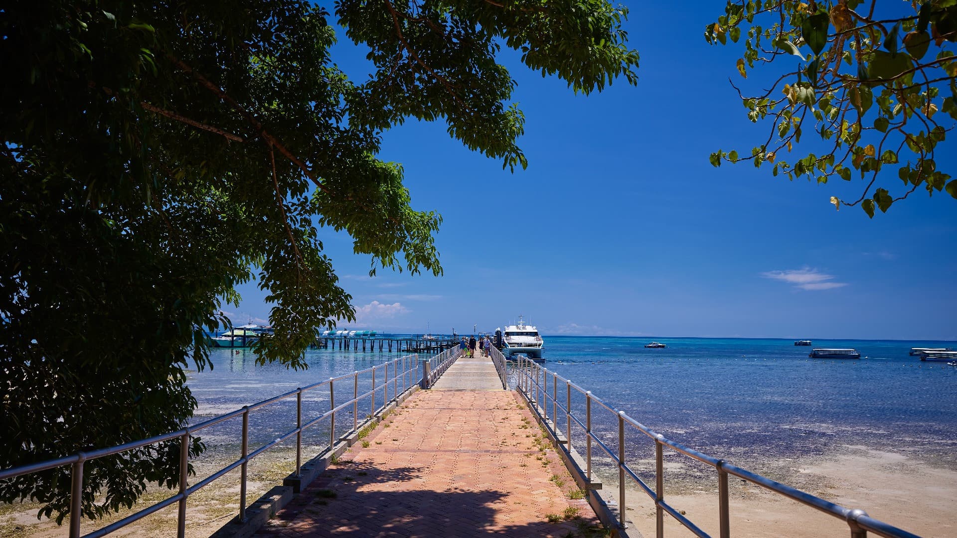 Green Island Great Barrier Reef Half Day Tour from Cairns - تصویر 10