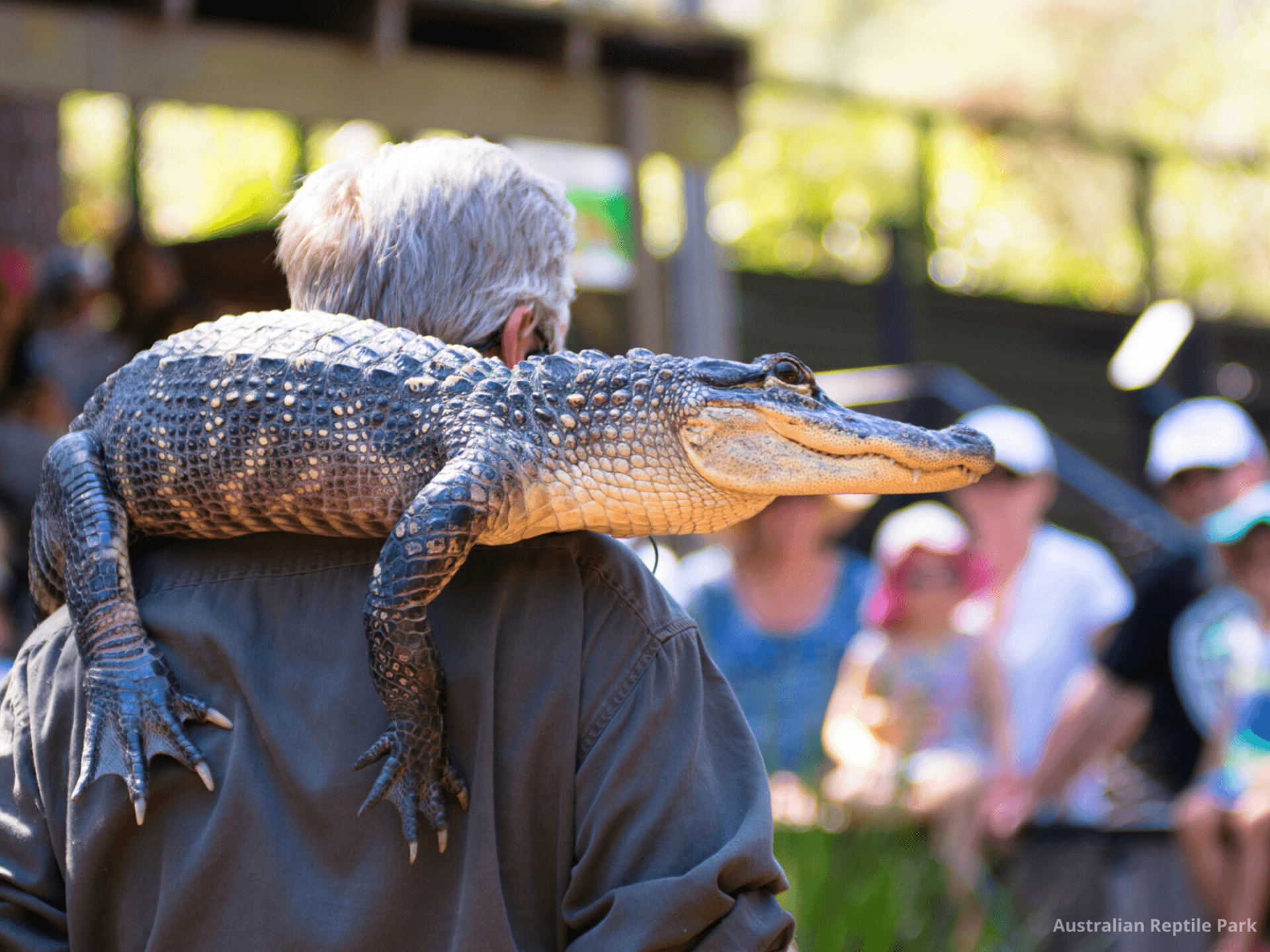 Australian Reptile Park - تصویر اصلی