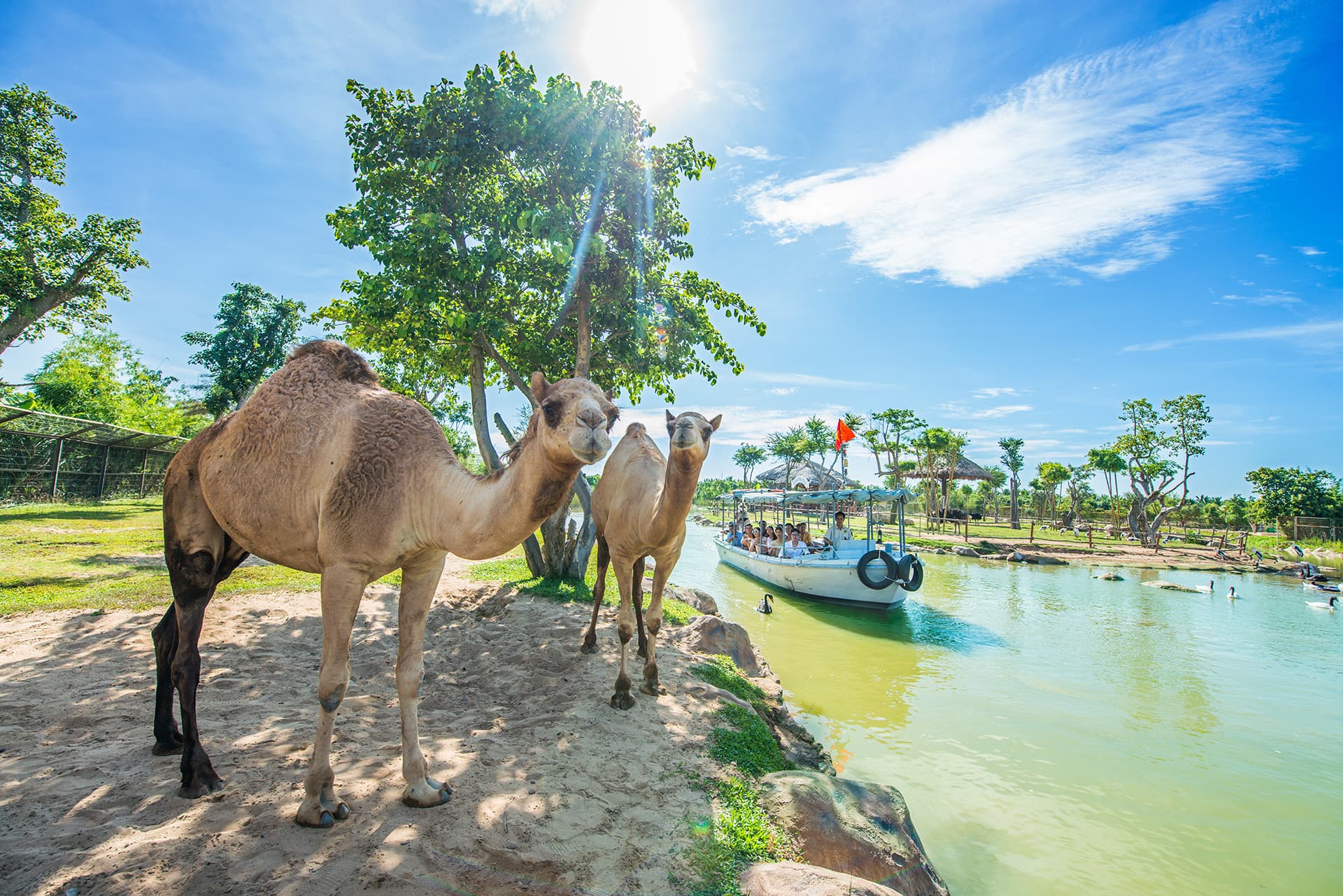 VinWonders Nam Hoi An Amusement Park Ticket - تصویر 13