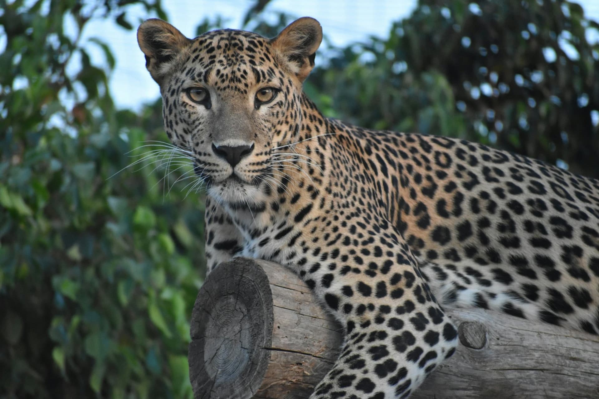Terra Natura Murcia Ticket - تصویر 3