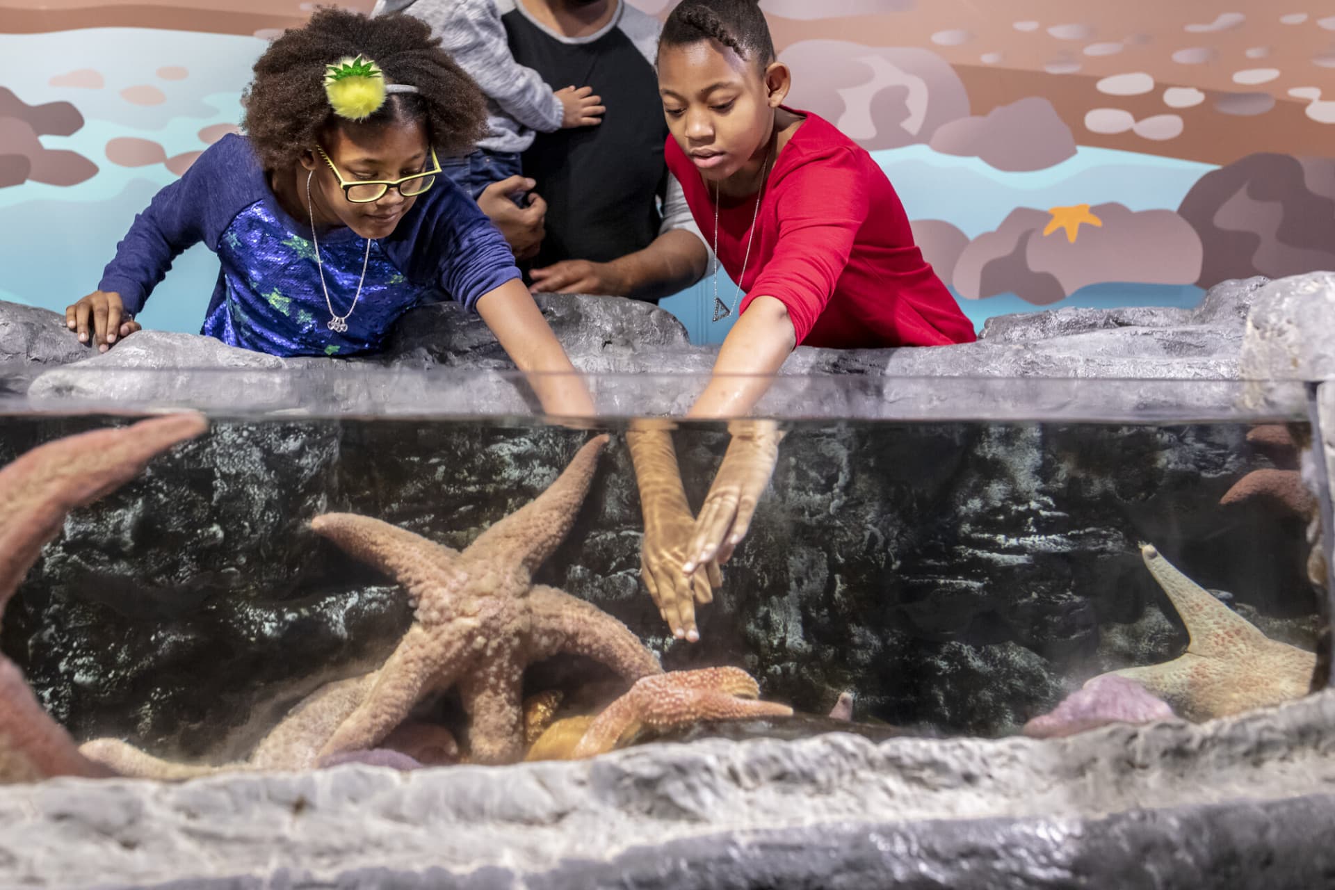 Go City Chicago All-Inclusive Pass: Save up to 50% on Attractions - تصویر 44