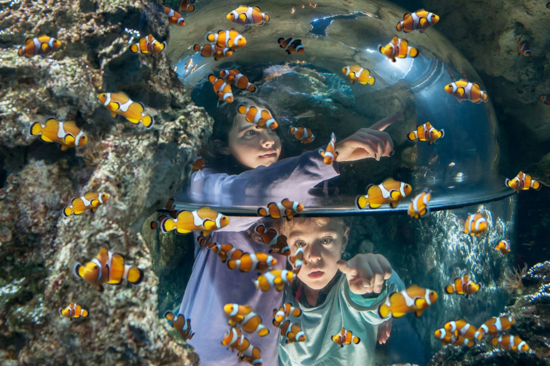 Gardaland SEA LIFE Aquarium Ticket - تصویر 5