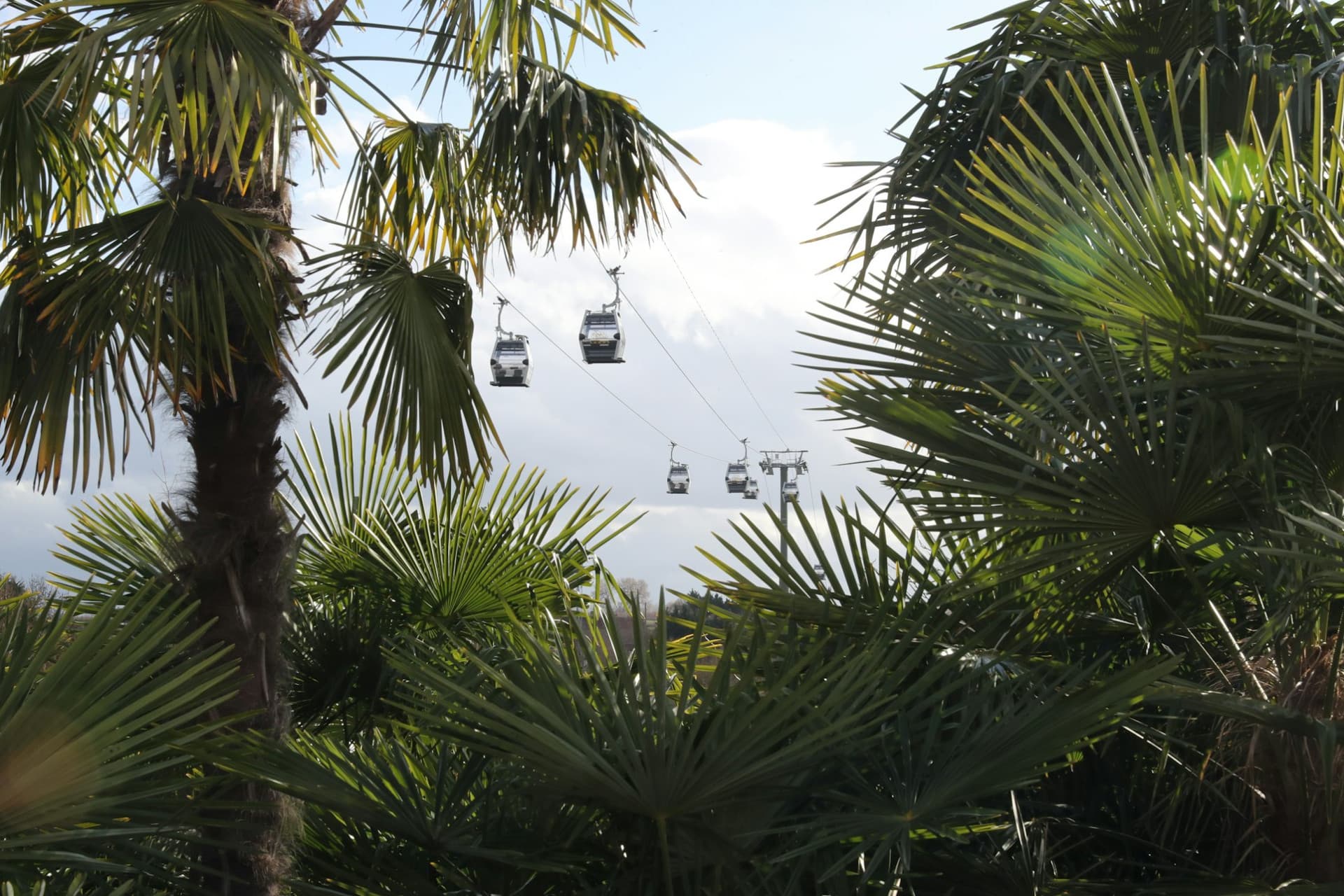 ZooParc de Beauval Ticket - تصویر 8