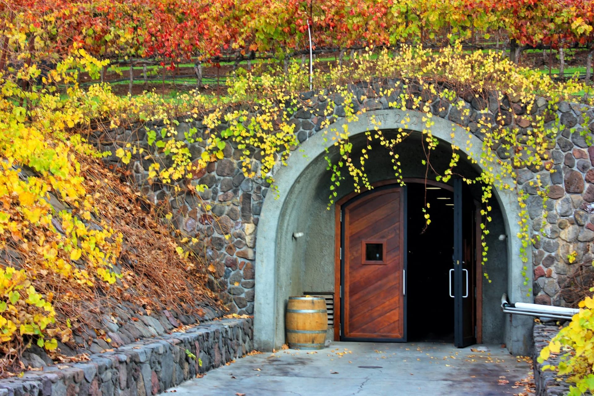 From San Francisco: Full Day Napa Valley Wine Tasting Tour - تصویر 9
