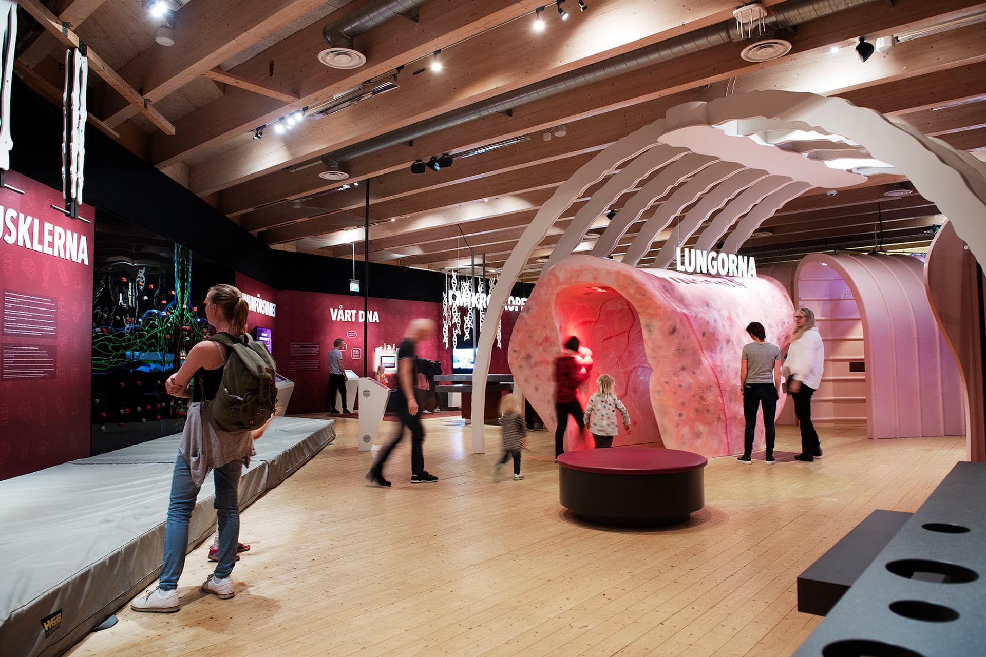 Go City Gothenburg Essentials Pass: 3 Attractions - تصویر 2